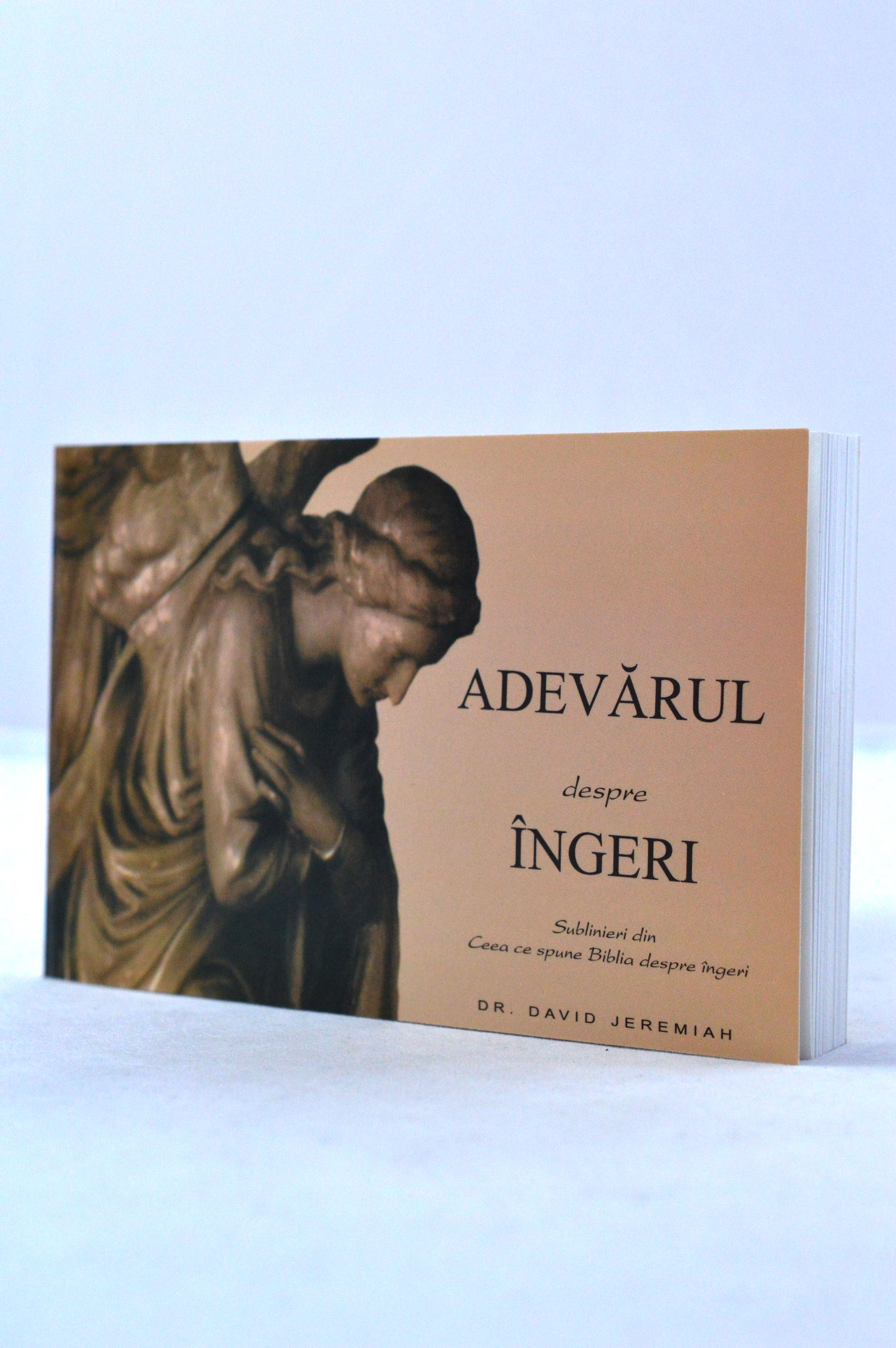 Adevarul despre ingeri Adevarul despre ingeri