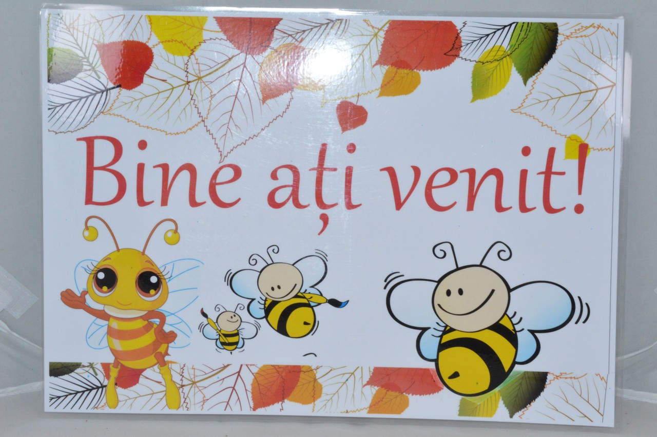 Plansa A3 - Bine ati venit! Plansa A3 - Bine ati venit!