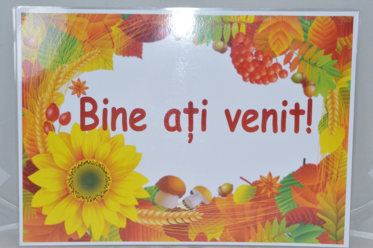 Plansa A3 - Bine ati venit! Plansa A3 - Bine ati venit!