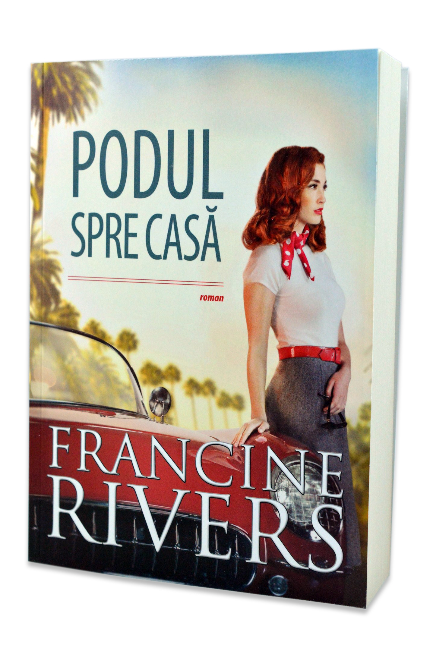 Podul spre casa - Roman crestin