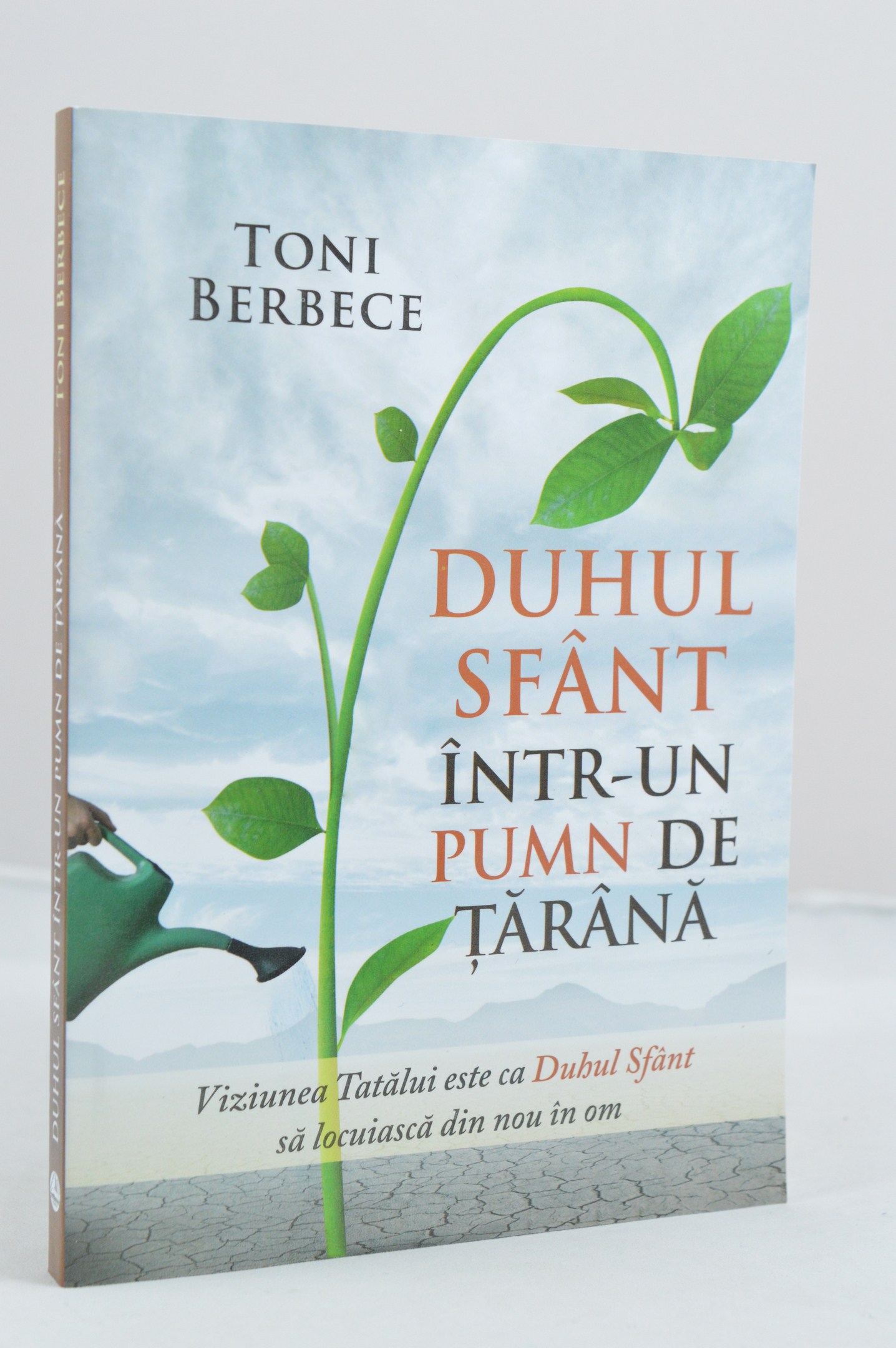 Duhul Sfânt într-un pumn de ţărână Duhul Sfânt într-un pumn de ţărână