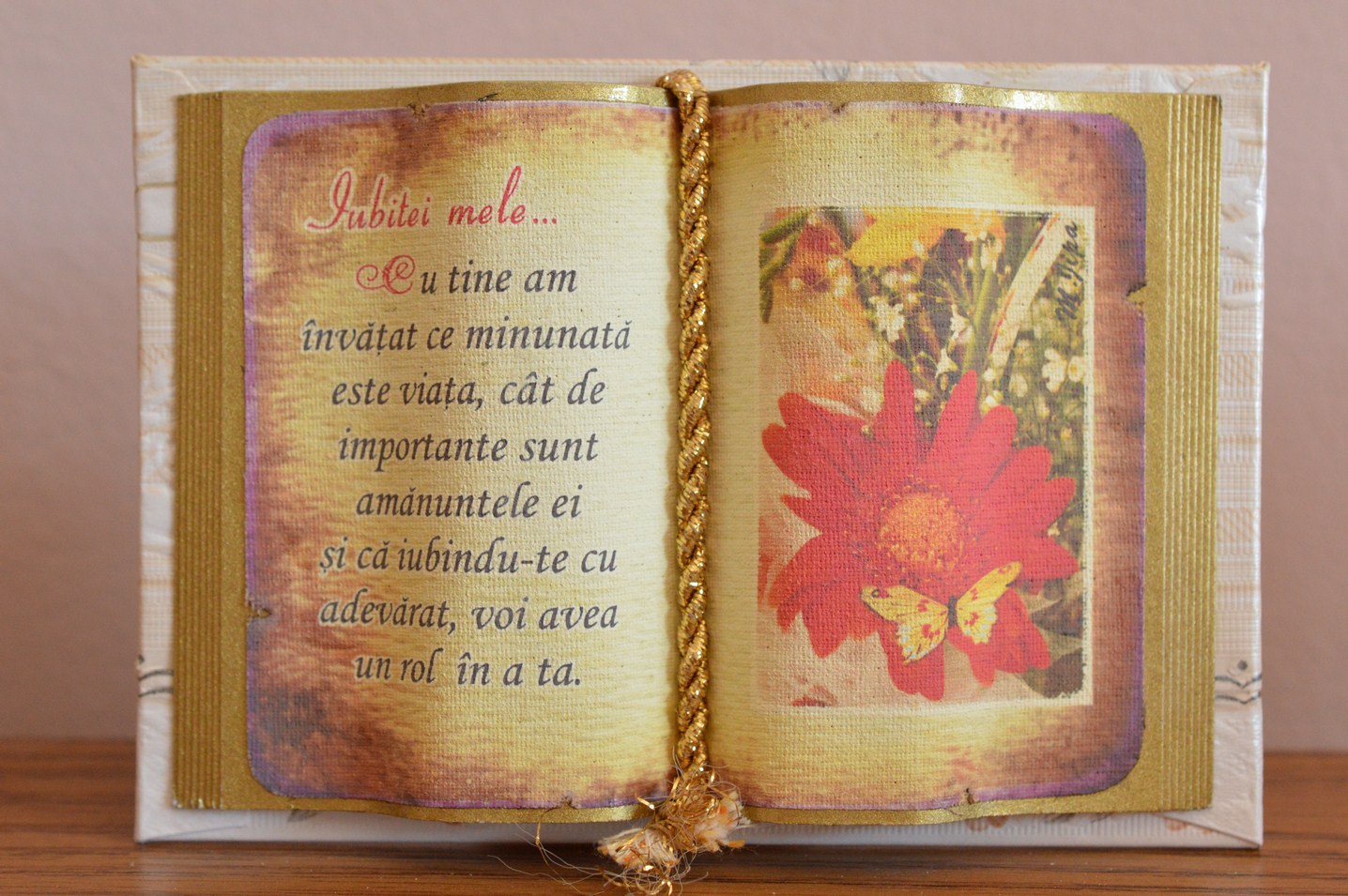 Carte decorativa - Iubitei mele... Cu tine am invatat...(10x14 cm) Carte decorativa - Iubitei mele... Cu tine am invatat...(10x14 cm)