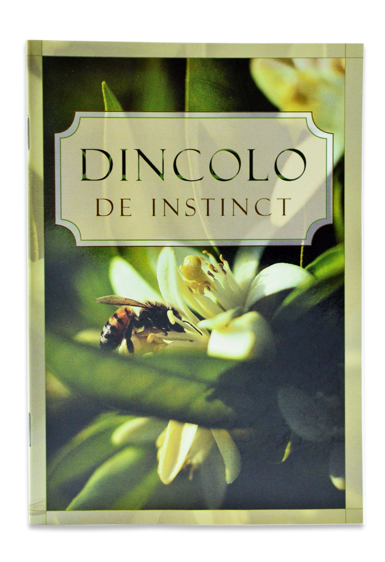Dincolo de instinct - dezbatere dintre un crestin si un ateu Dincolo de instinct - dezbatere dintre un crestin si un ateu