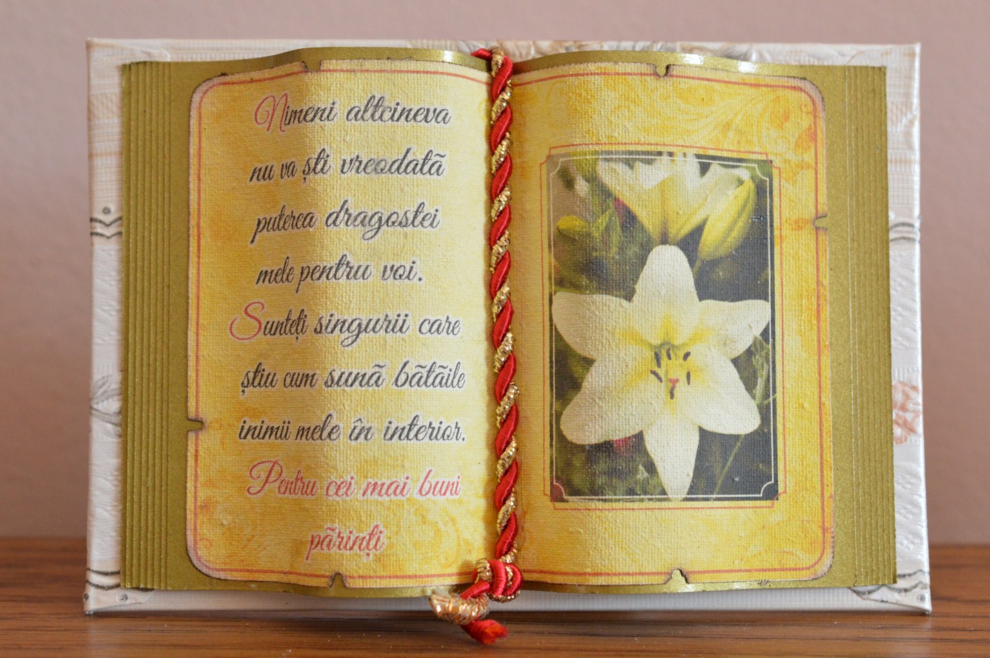 Carte decorativa- Nimeni altcineva nu va sti vreodata...(14x21 cm) Carte decorativa- Nimeni altcineva nu va sti vreodata...(14x21 cm)