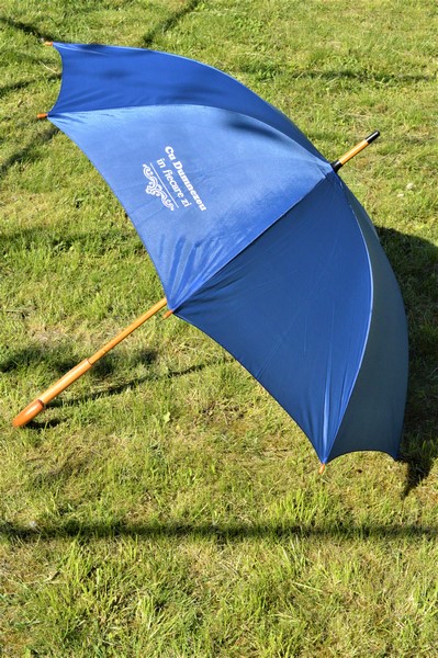 Umbrela - Cu Dumnezeu in fiecare zi, culoare albastra Umbrela - Cu Dumnezeu in fiecare zi, culoare albastra