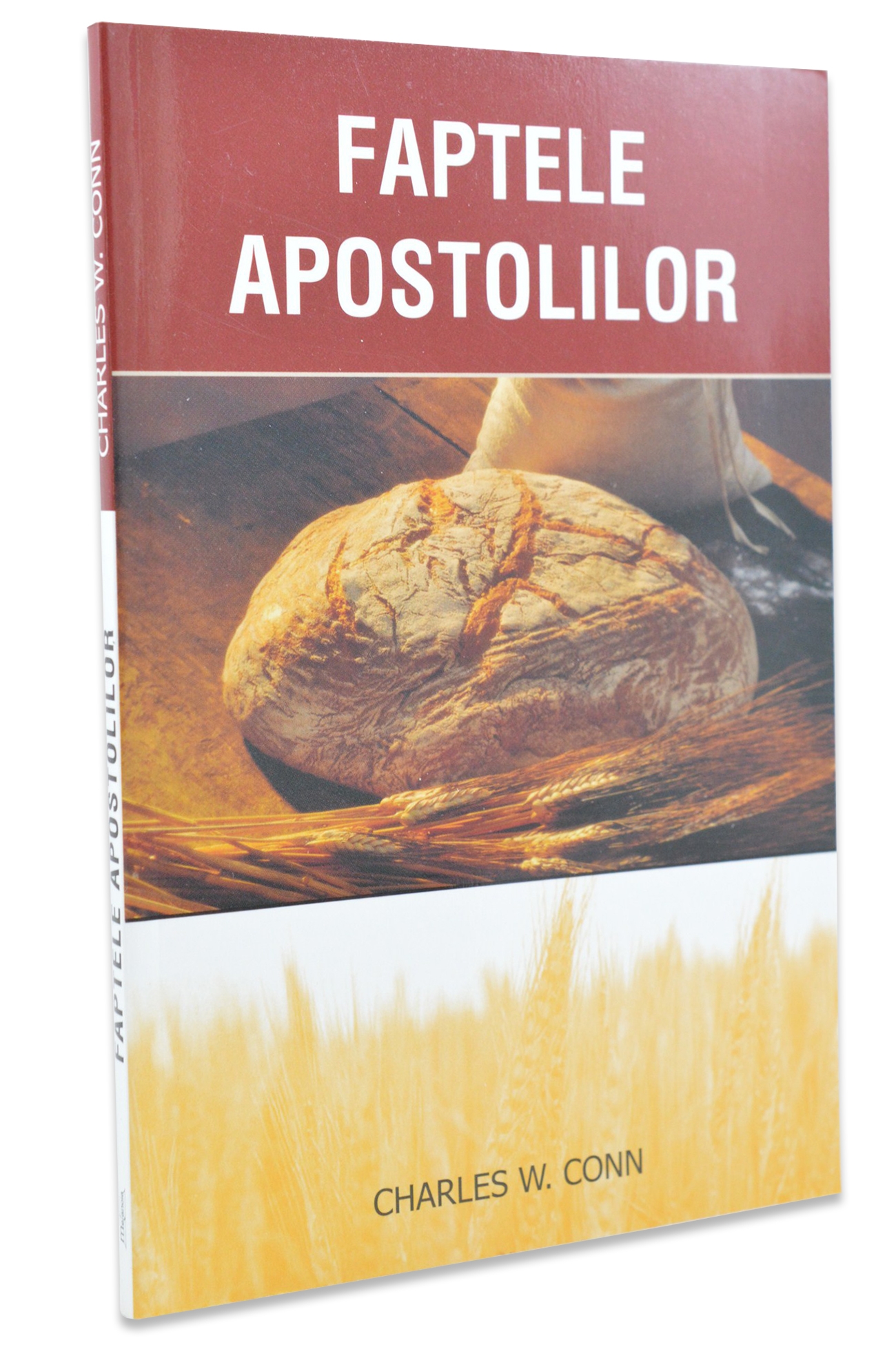 Faptele apostolilor - Studiu Biblic Faptele apostolilor - Studiu Biblic