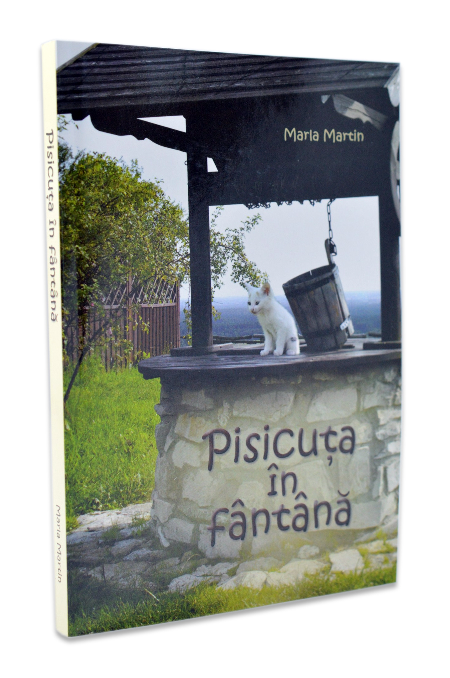 Pisicuta in fantana - Povestiri crestine pentru copii Pisicuta in fantana - Povestiri crestine pentru copii