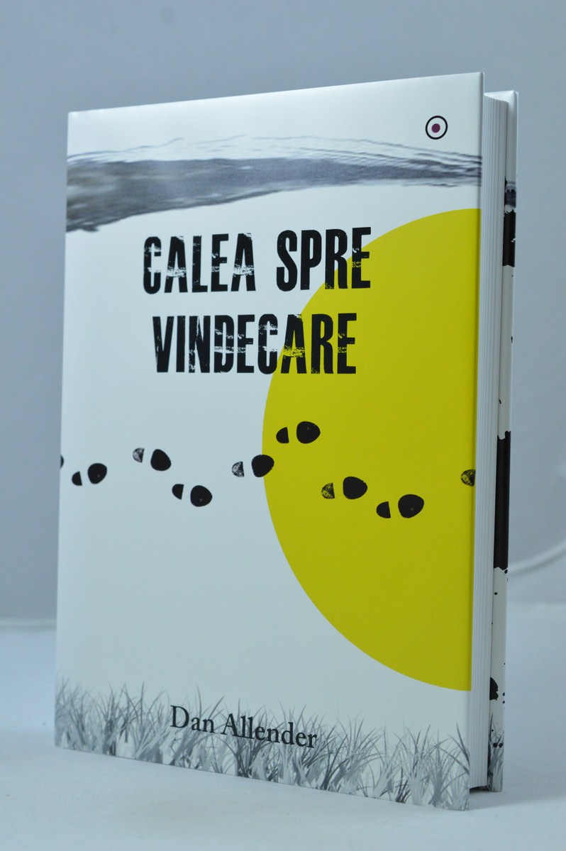 Calea spre vindecare - Cum sa depasesti problemele vietii? Calea spre vindecare - Cum sa depasesti problemele vietii?