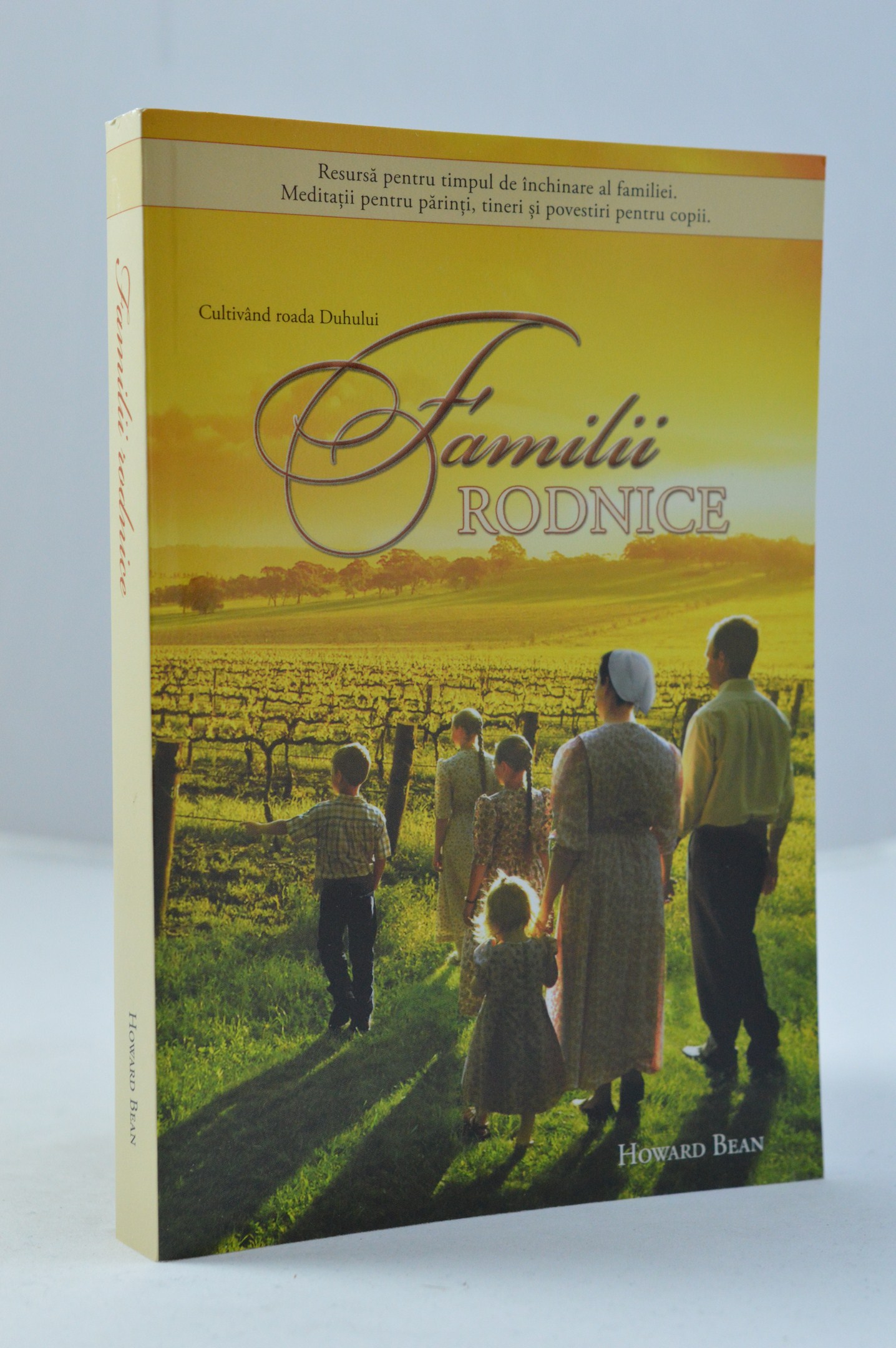Familii rodnice - meditatii pentru parinti, tineri si povestiri pentru copii Familii rodnice - meditatii pentru parinti, tineri si povestiri pentru copii