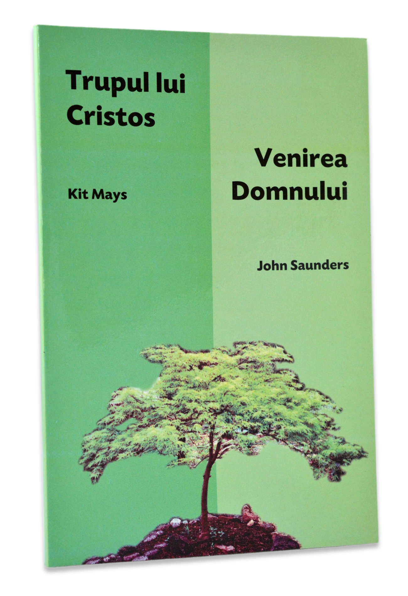 Trupul lui Cristos / Venirea Domnului Trupul lui Cristos / Venirea Domnului