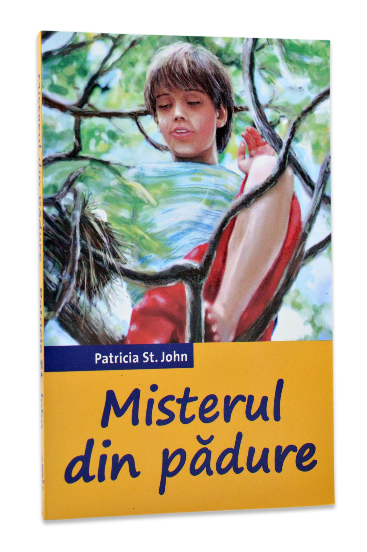 Misterul din padure - povestiri crestine pentru copii