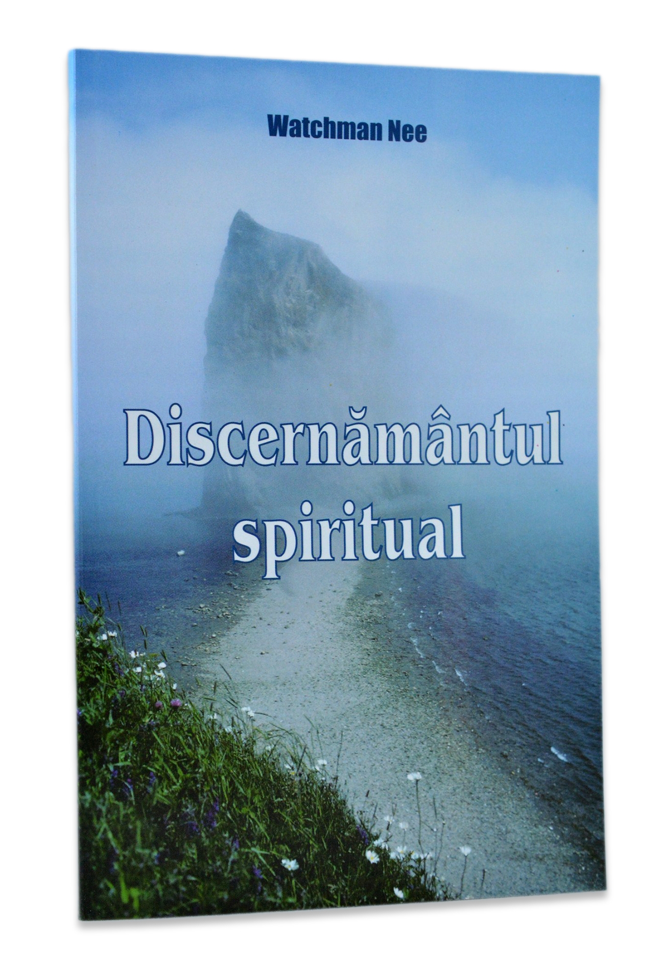 Discernământul Spiritual Discernământul Spiritual