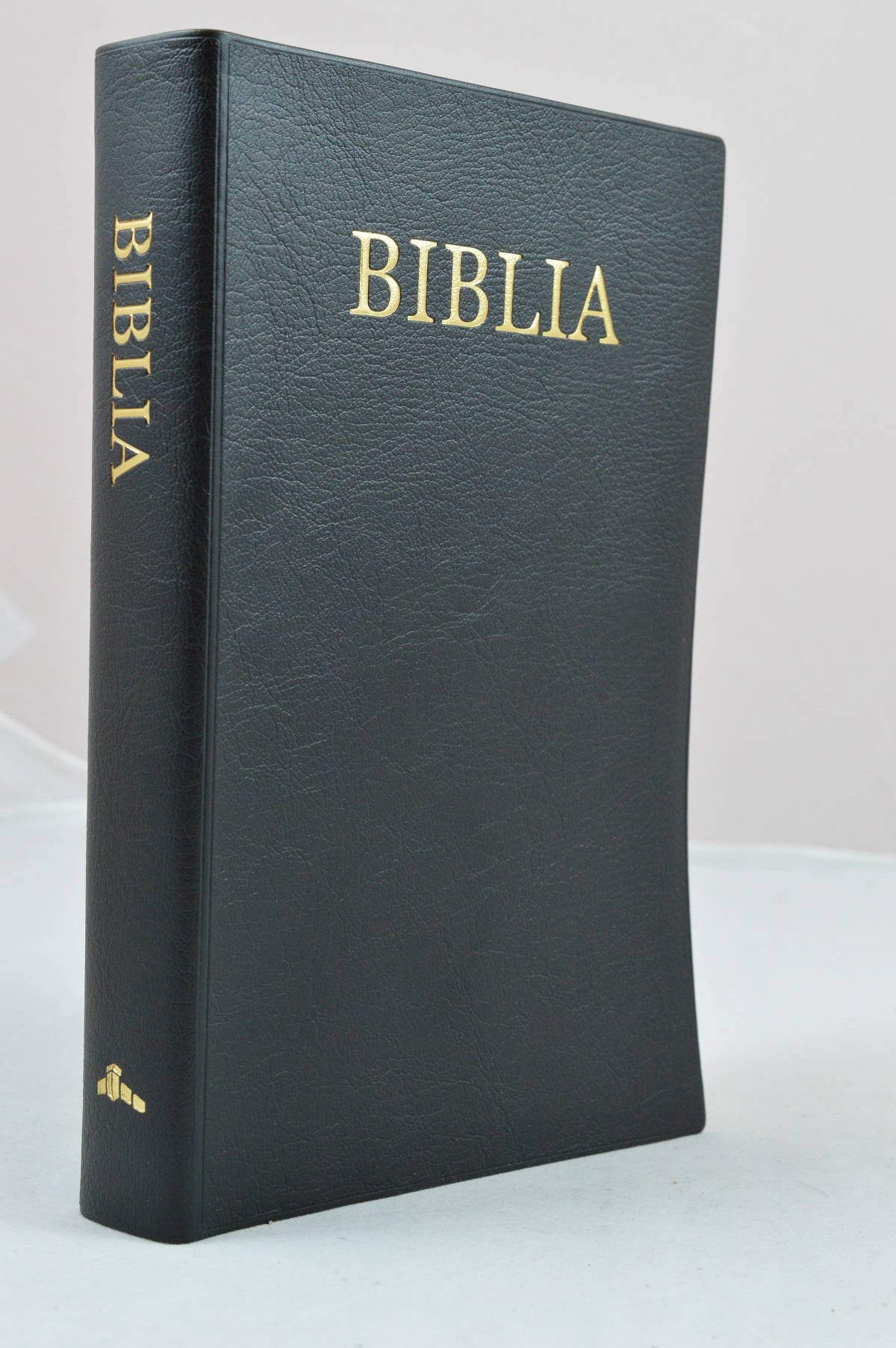 Biblie marime medie, coperta moale, neagra, fara cruce [063 CM]