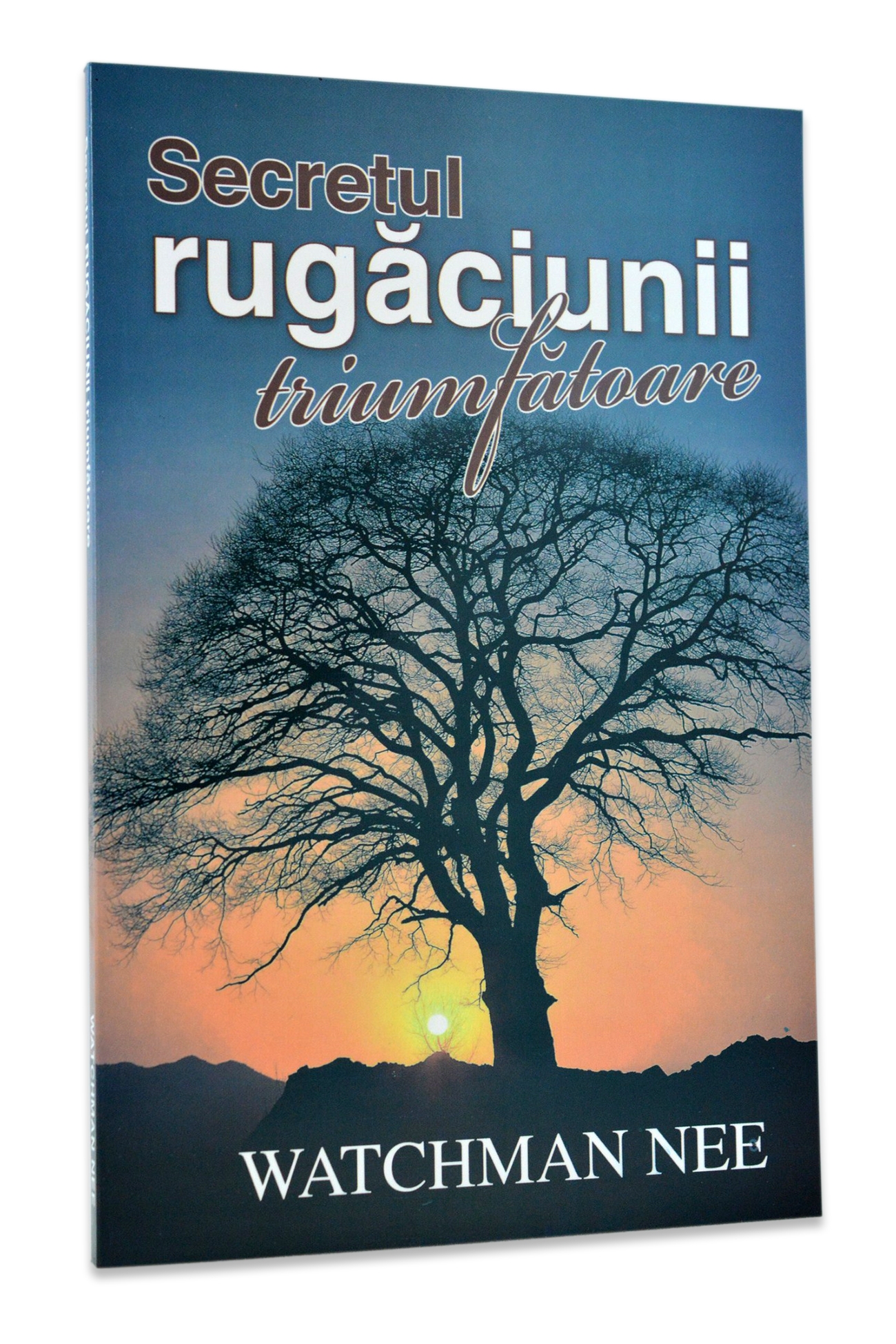 Secretul rugăciunii triumfătoare Secretul rugăciunii triumfătoare