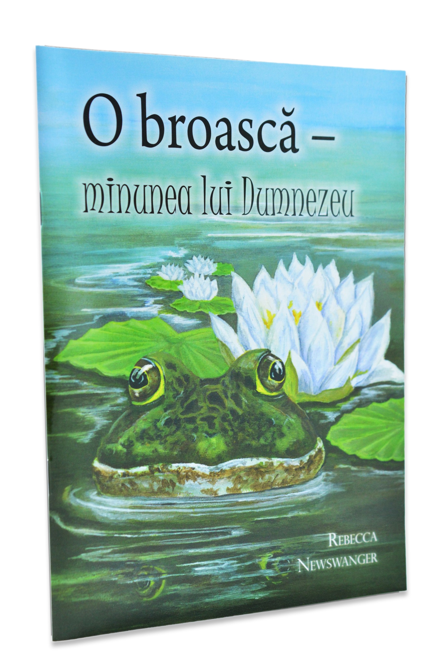 O broasca minunea lui Dumnezeu - povestiri crestine pentru copii O broasca minunea lui Dumnezeu - povestiri crestine pentru copii