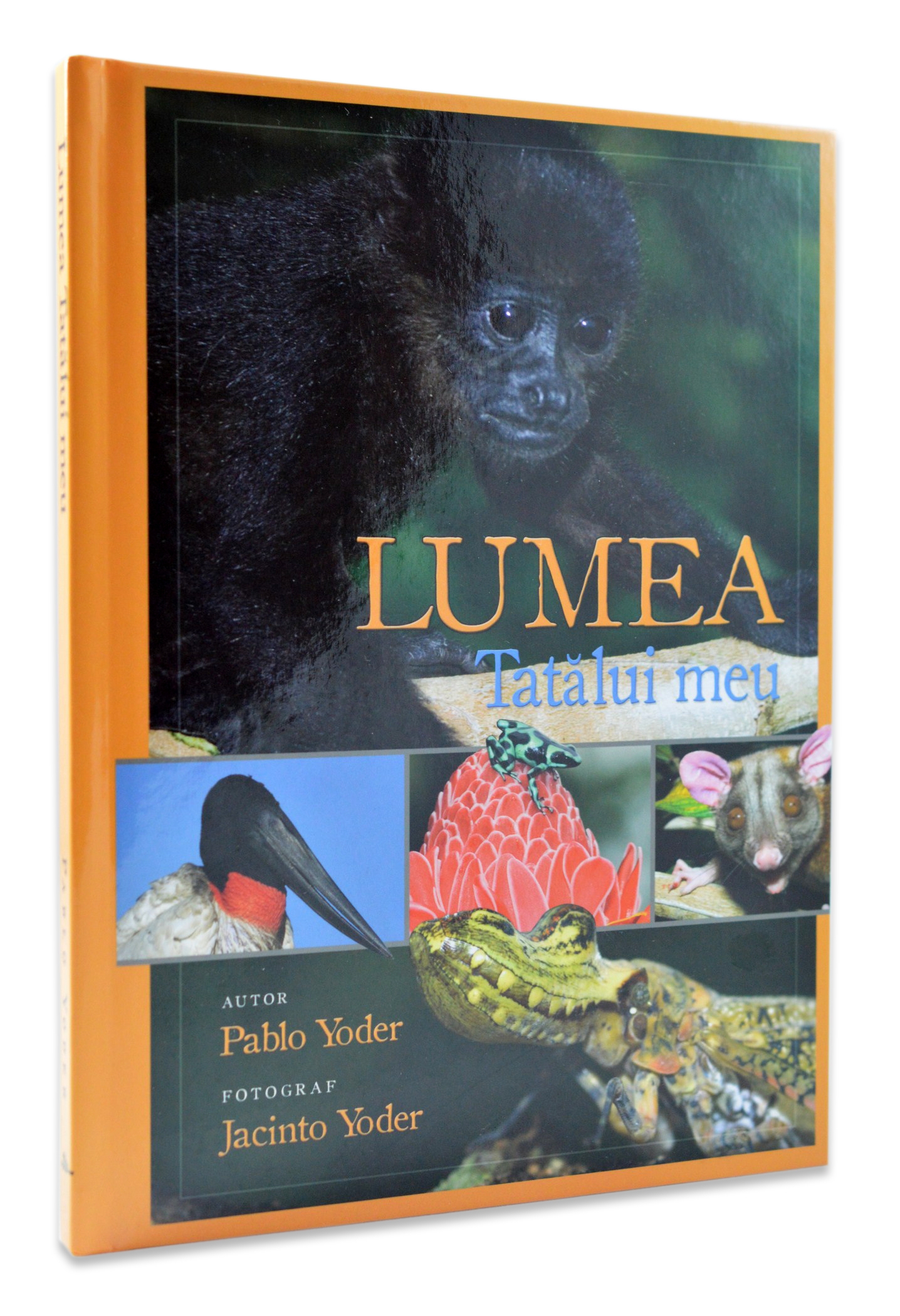 Lumea Tatălui meu - natura pe intelesul copiilor crestini Lumea Tatălui meu - natura pe intelesul copiilor crestini