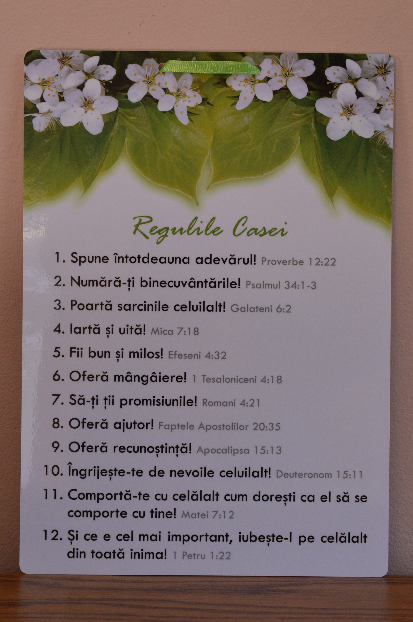 poster- Regulile casei poster- Regulile casei
