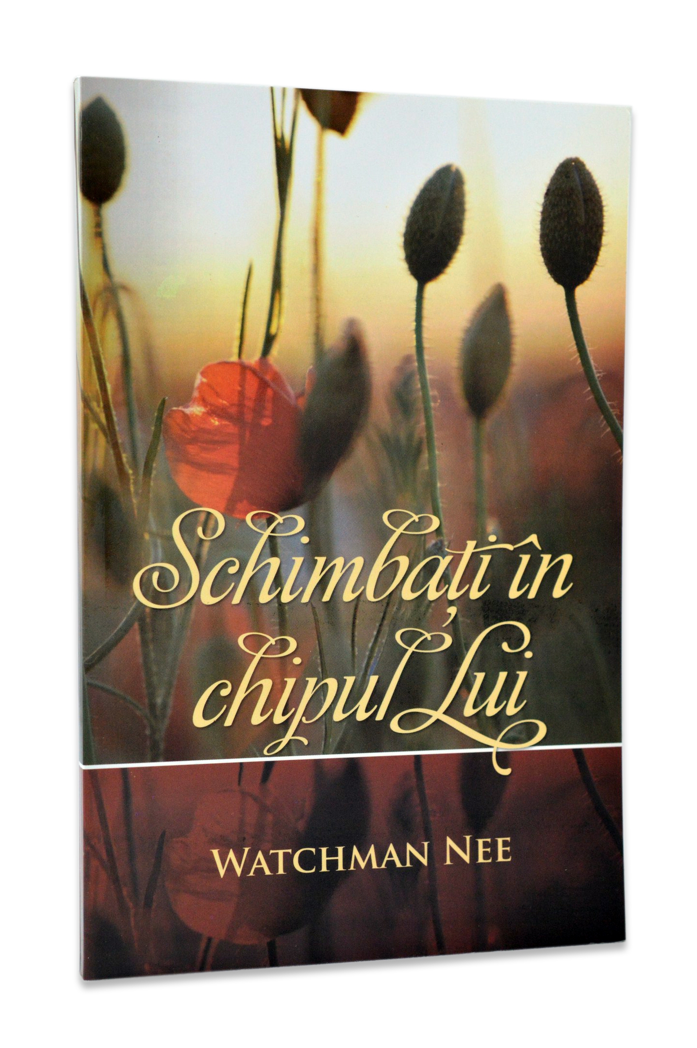 Schimbati in chipul Lui Schimbati in chipul Lui