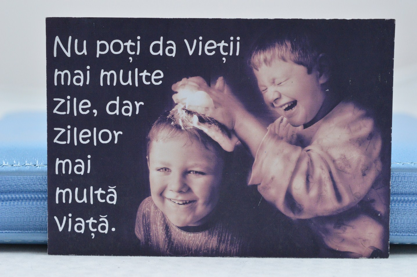 Magnet de frigider - Nu poti da vietii Magnet de frigider - Nu poti da vietii