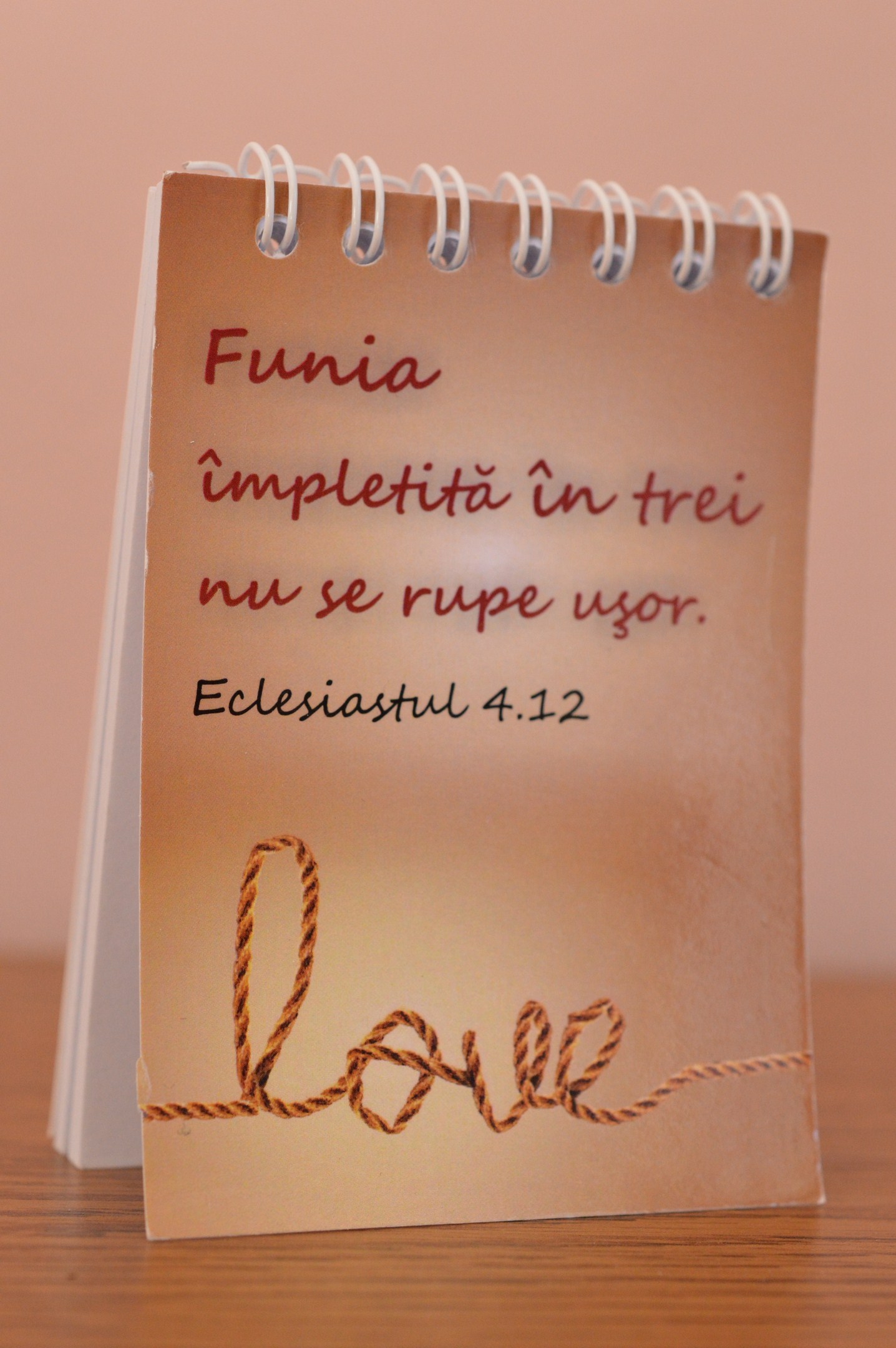 Carnetel mic - Funia impletita in trei Carnetel mic - Funia impletita in trei