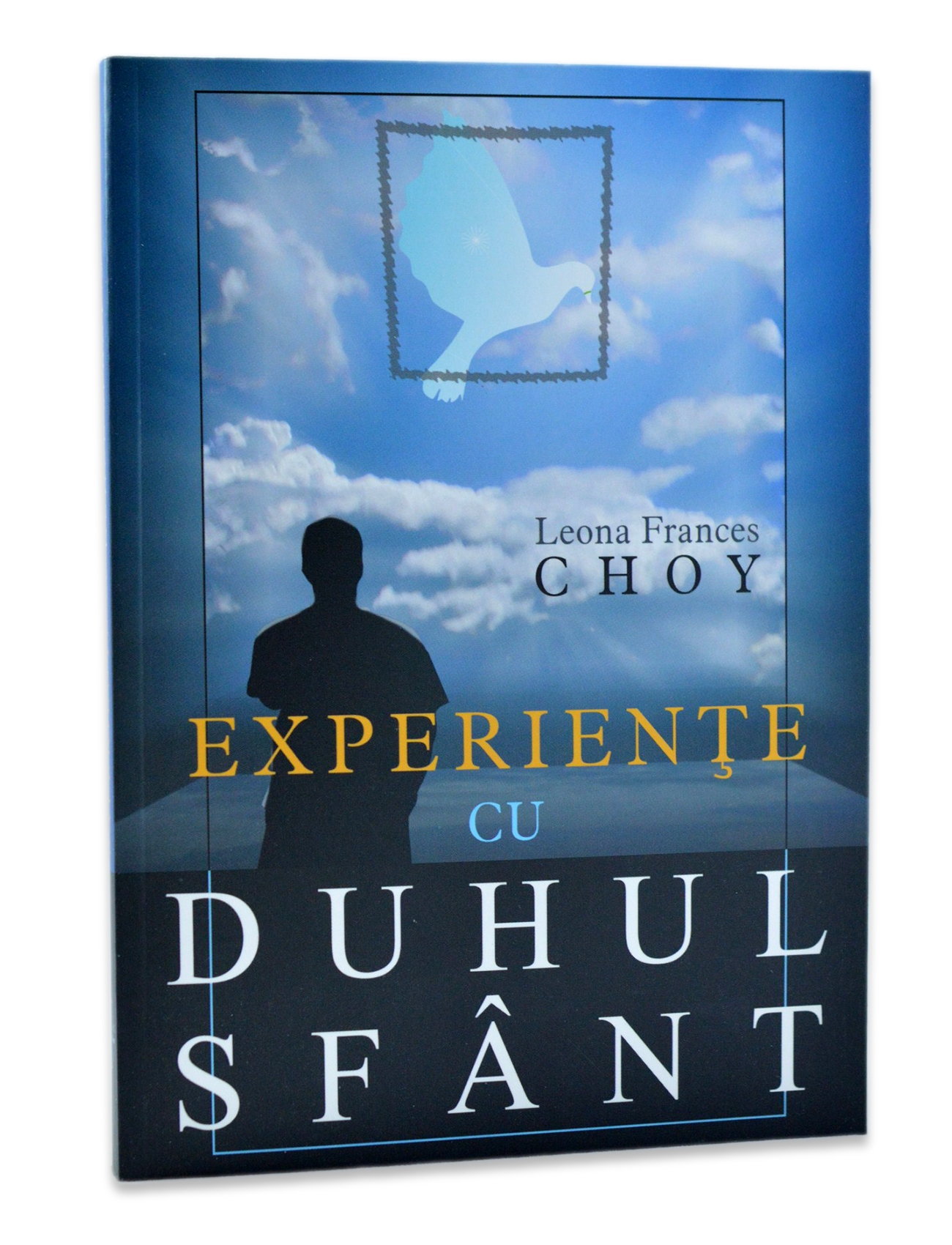 [ANTICARIAT] Experiente cu Duhul Sfant (Produs cu defect)