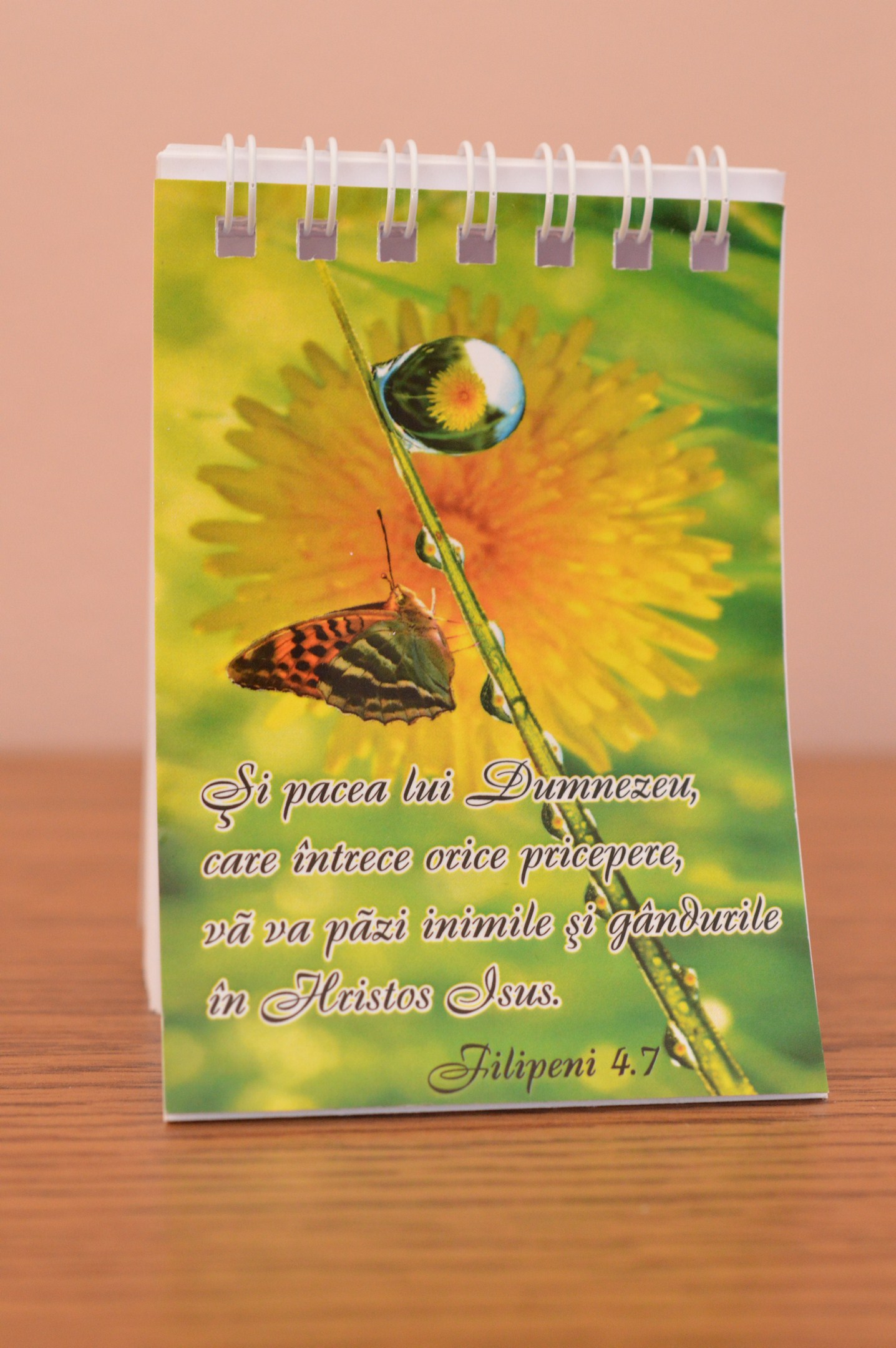 Carnetel mic - Si pacea lui Dumnezeu... Carnetel mic - Si pacea lui Dumnezeu...