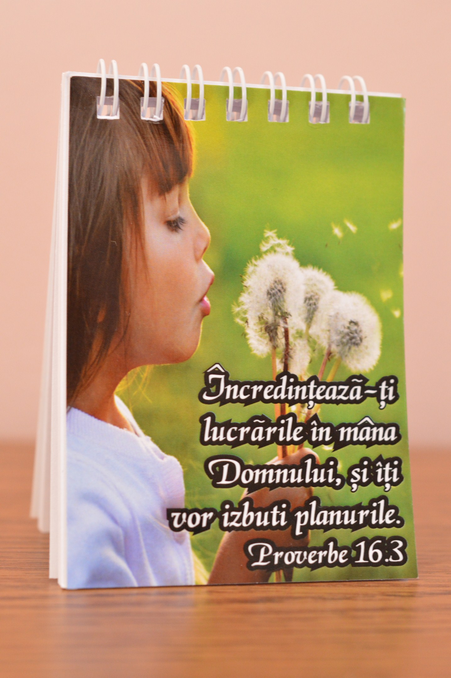 Carnetel mic - Incredinteaza-ti lucrarile in mana Domnului Carnetel mic - Incredinteaza-ti lucrarile in mana Domnului