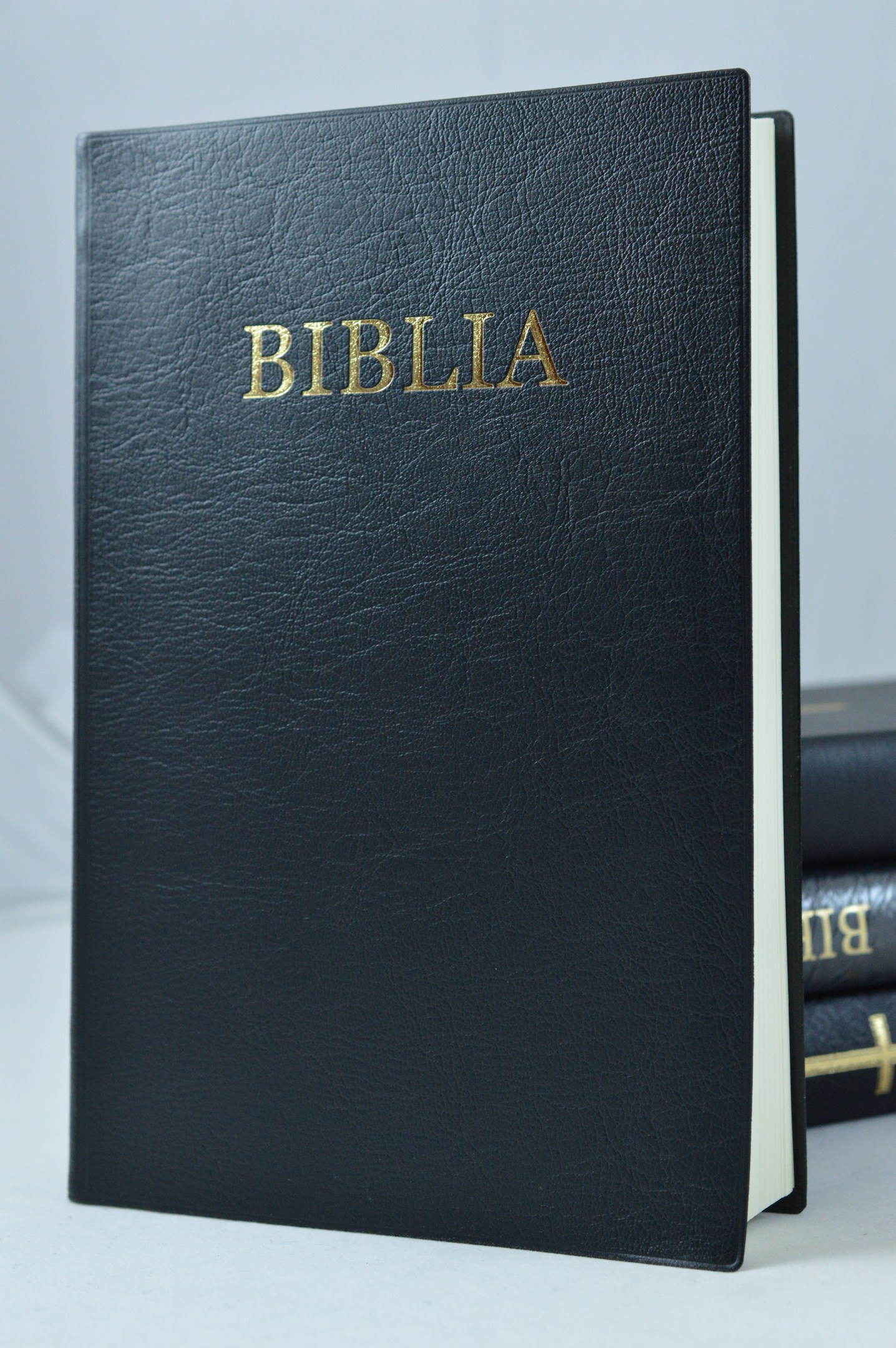 Biblia mare, coperta moale, neagra, scris mare, fara cruce [073 CM]