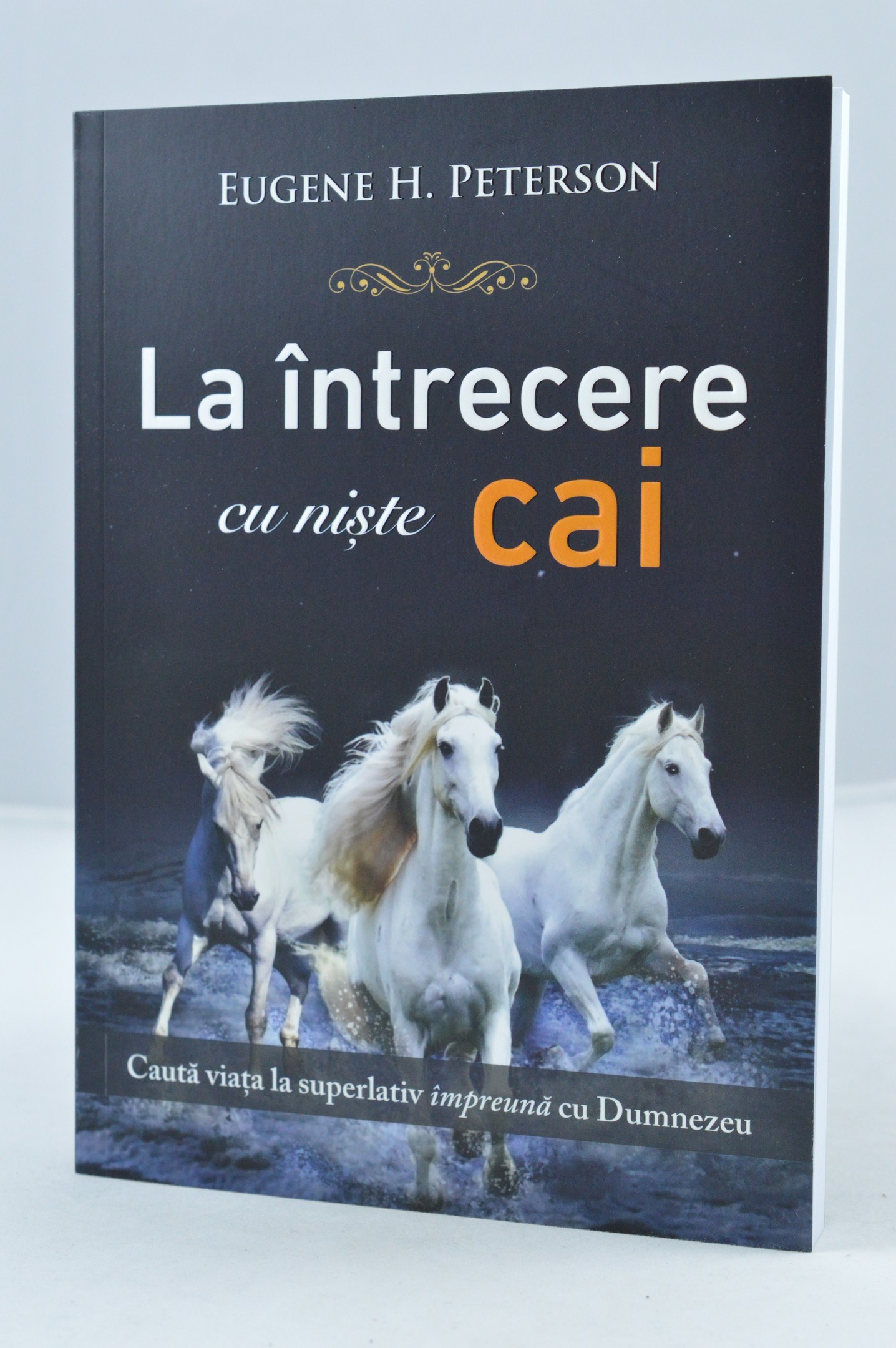 La intrecere cu niste cai La intrecere cu niste cai