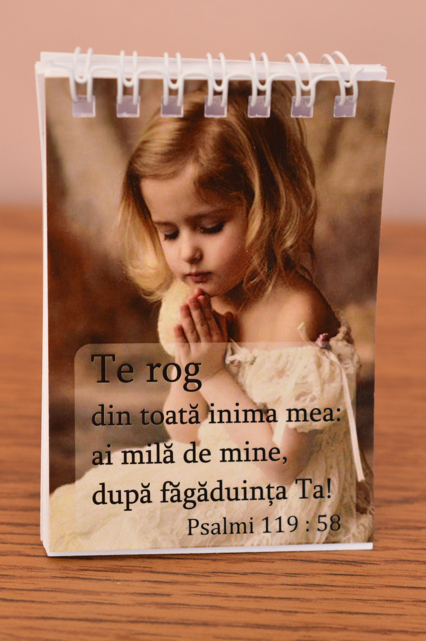 Carnetel mic - Te rog din toata inima Carnetel mic - Te rog din toata inima