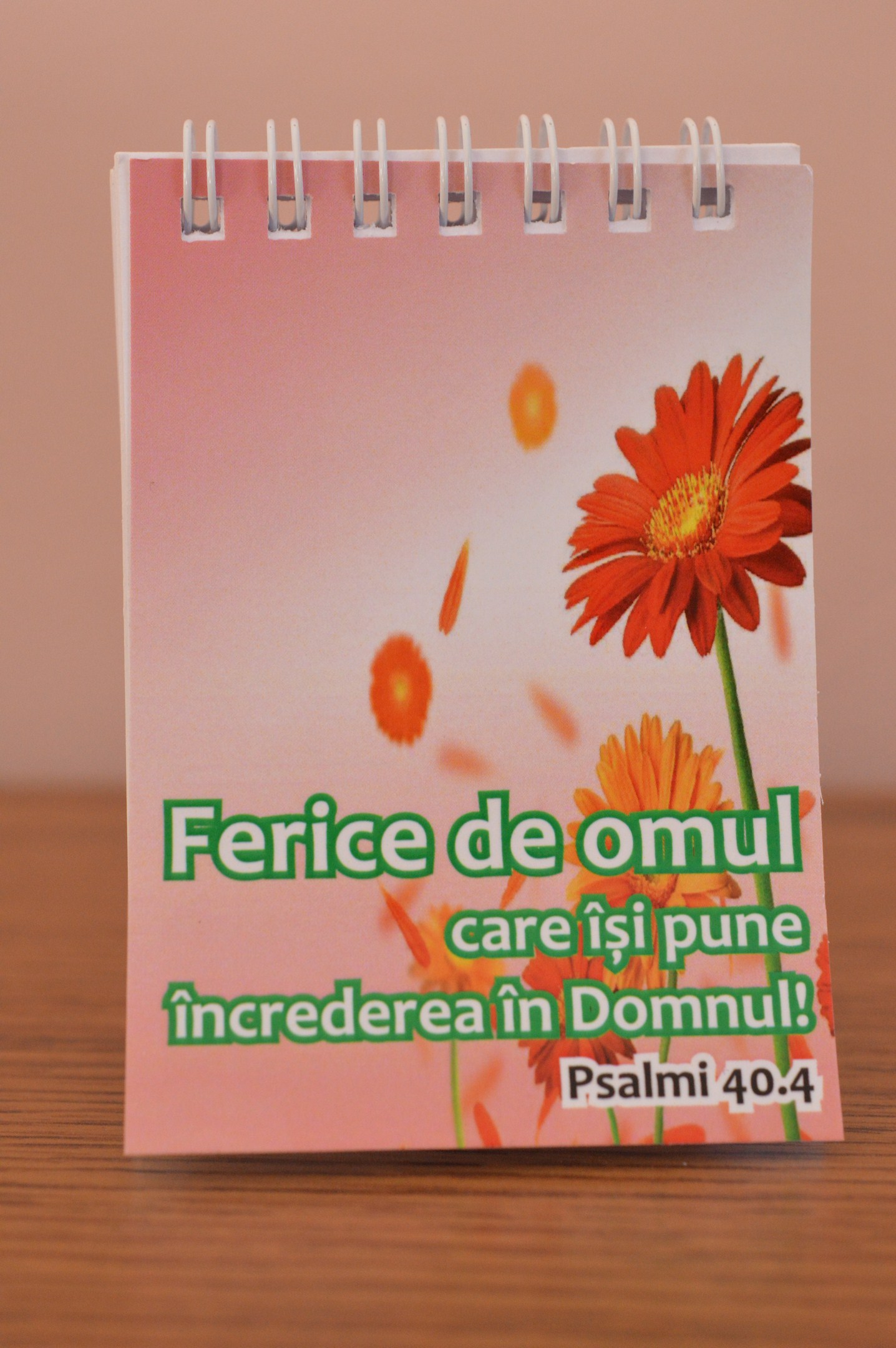 Carnetel mic - Ferice de omul Carnetel mic - Ferice de omul