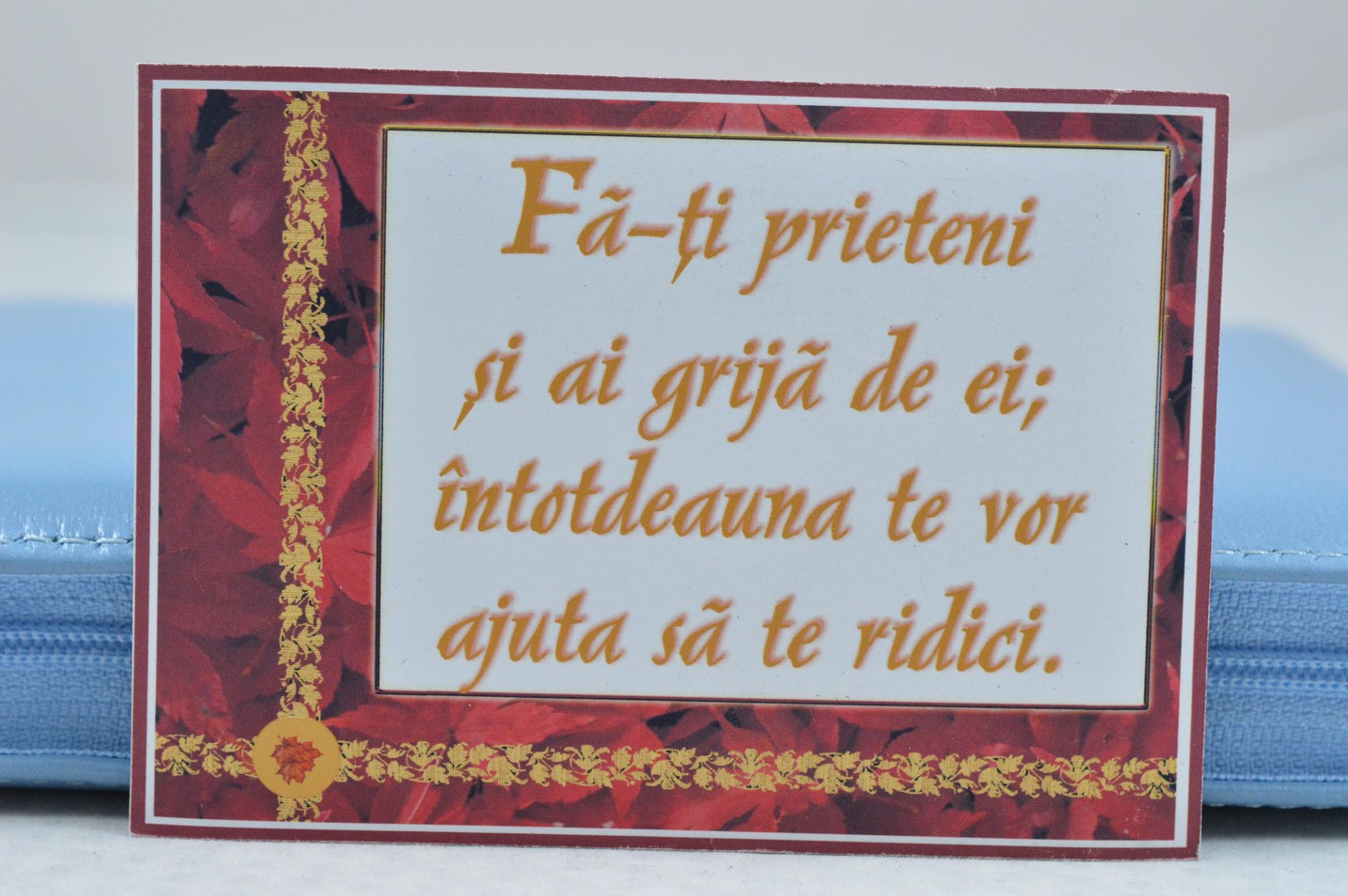 Magnet de frigider - Fa-ti prieteni Magnet de frigider - Fa-ti prieteni