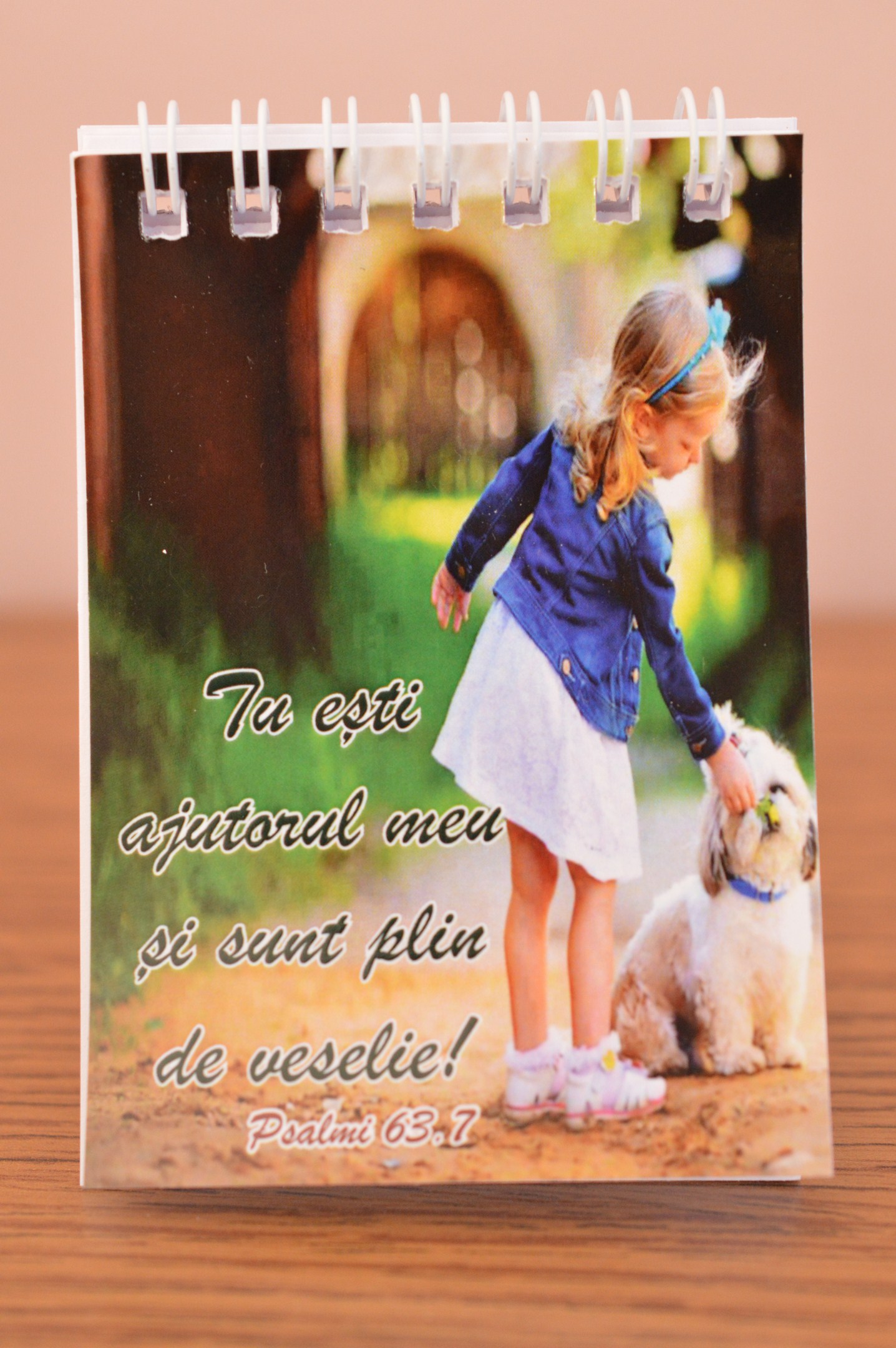 Carnetel mic - Tu esti ajutorul meu Carnetel mic - Tu esti ajutorul meu