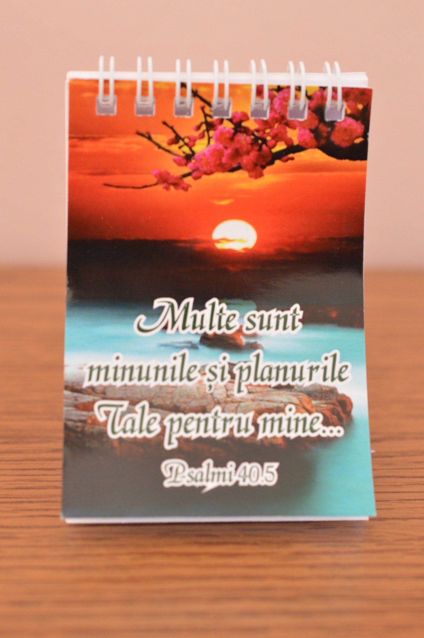 Carnetel mic - Multe sunt minunile Carnetel mic - Multe sunt minunile