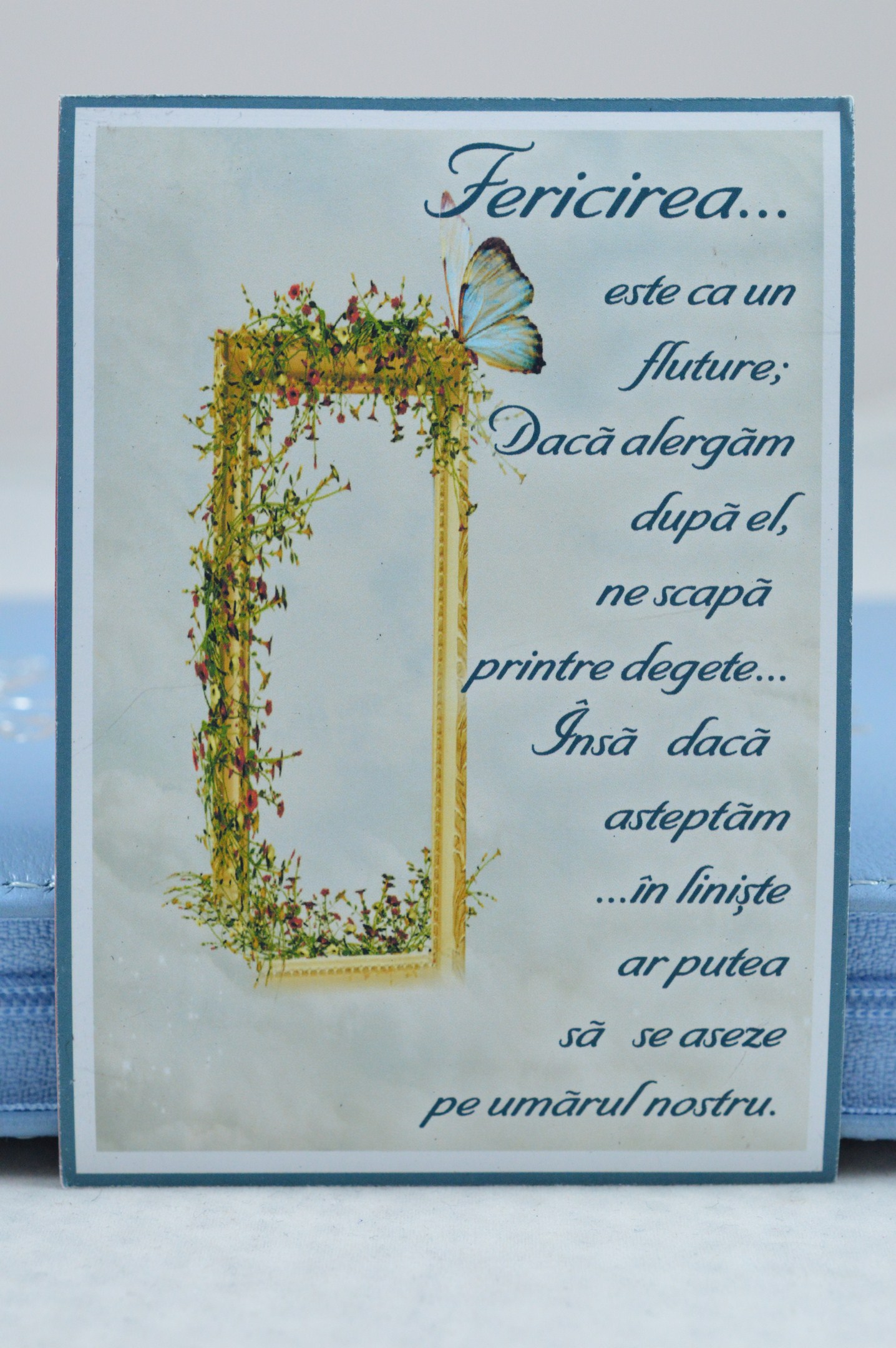 Magnet de frigider - Fericirea un fluture Magnet de frigider - Fericirea un fluture