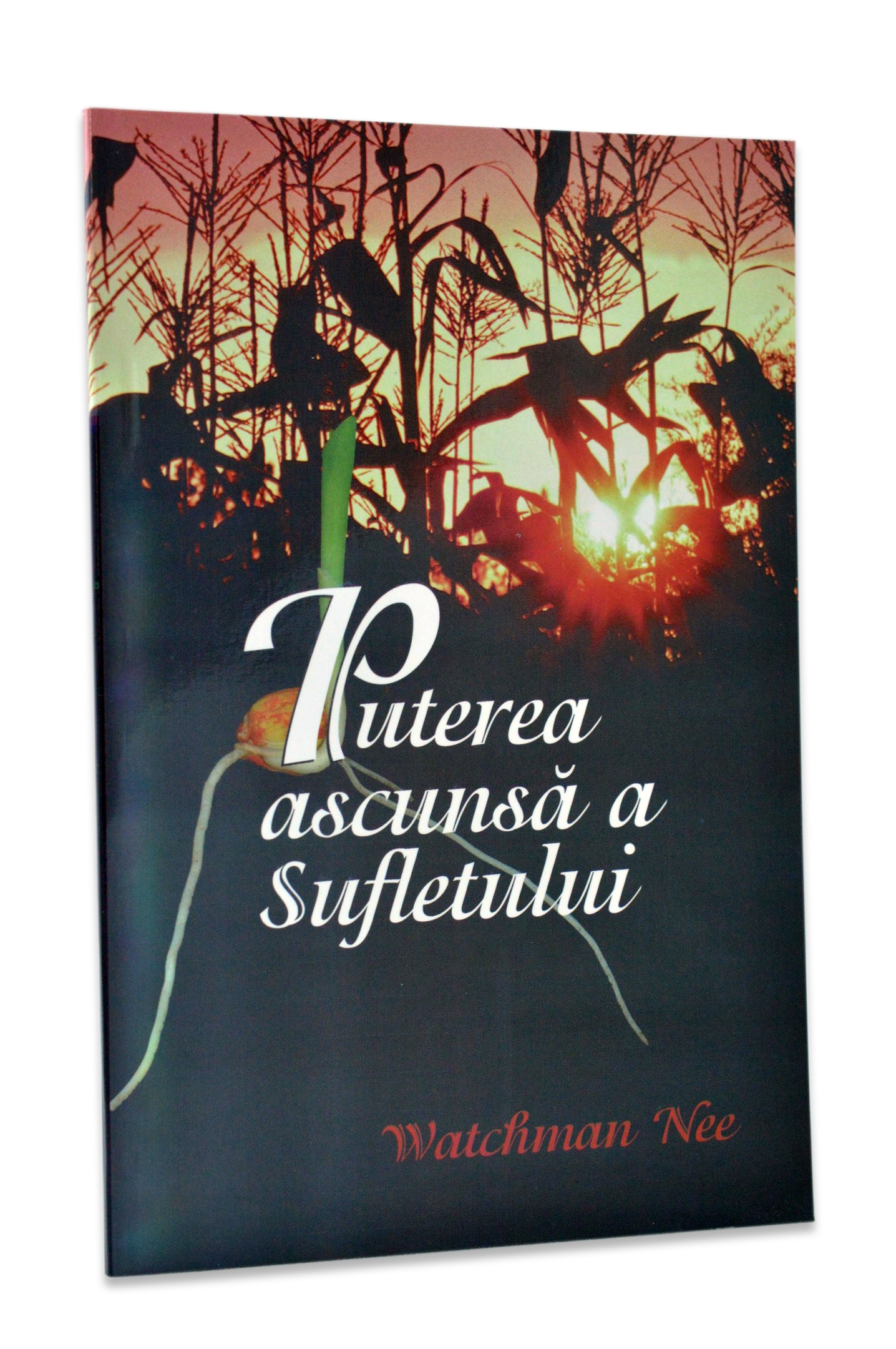 Puterea ascunsă a sufletului Puterea ascunsă a sufletului
