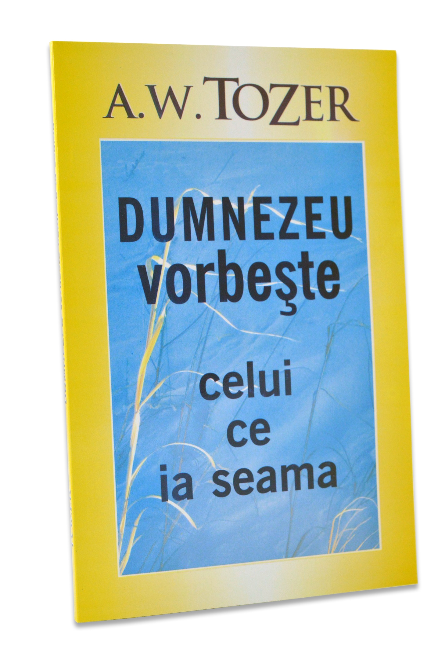 Dumnezeu vorbeste celui ce ia seama