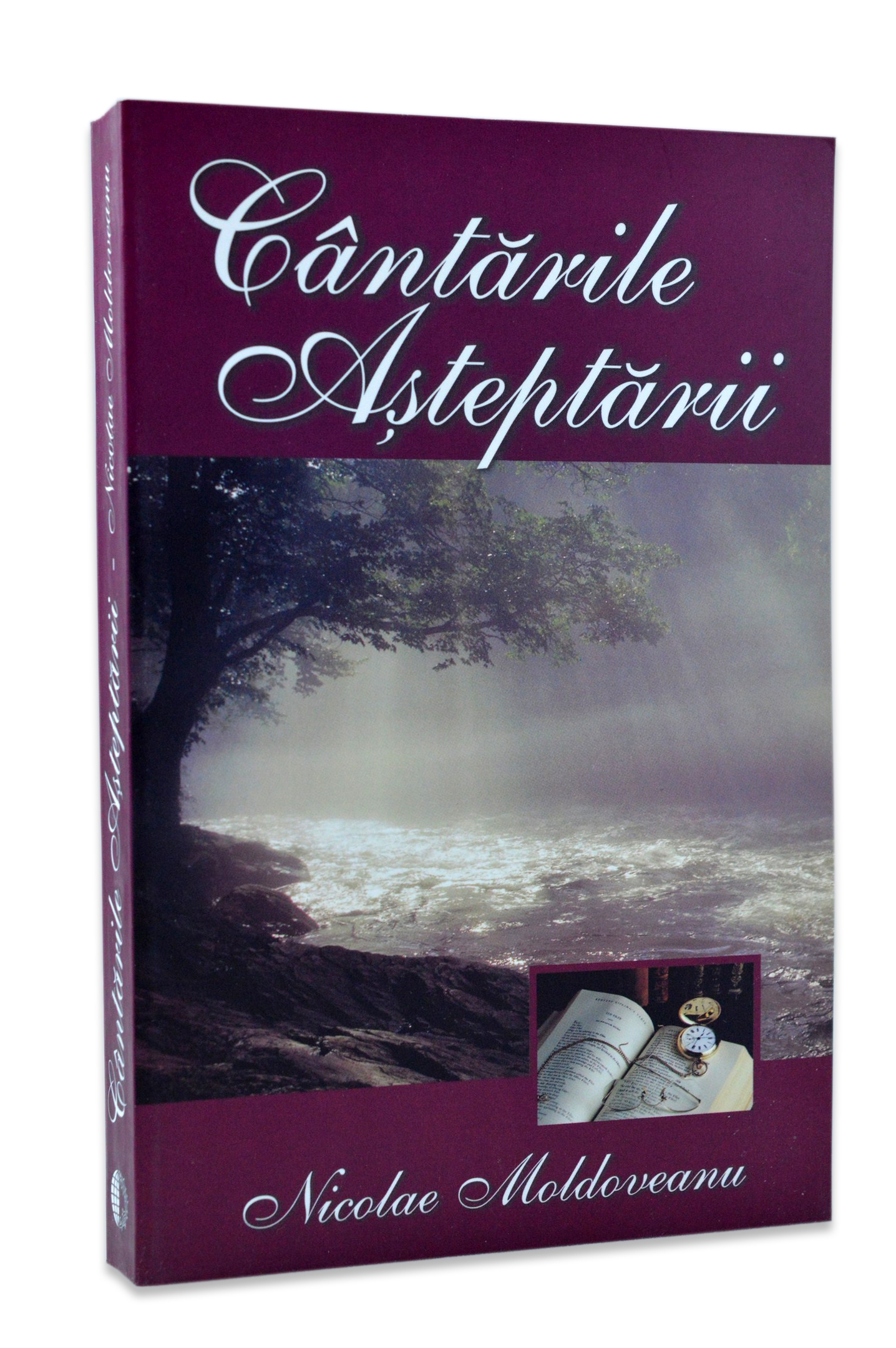 Cantarile asteptarii de Nicolae Moldoveanu Cantarile asteptarii de Nicolae Moldoveanu