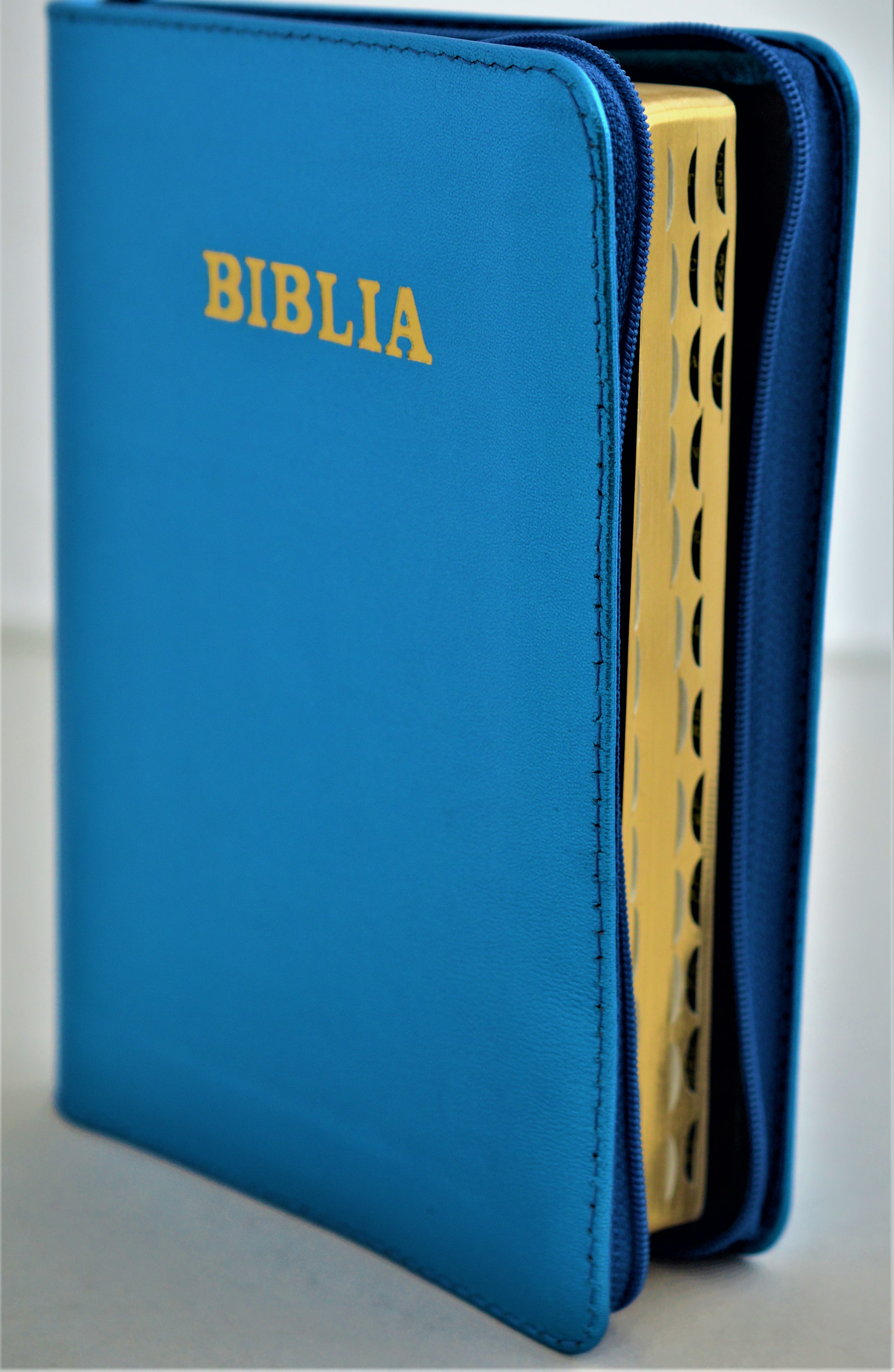 Biblie din piele, marime medie,albastru sidefat, index, margini aurii, cuv. lui Isus cu rosu [SB 057 PFI]