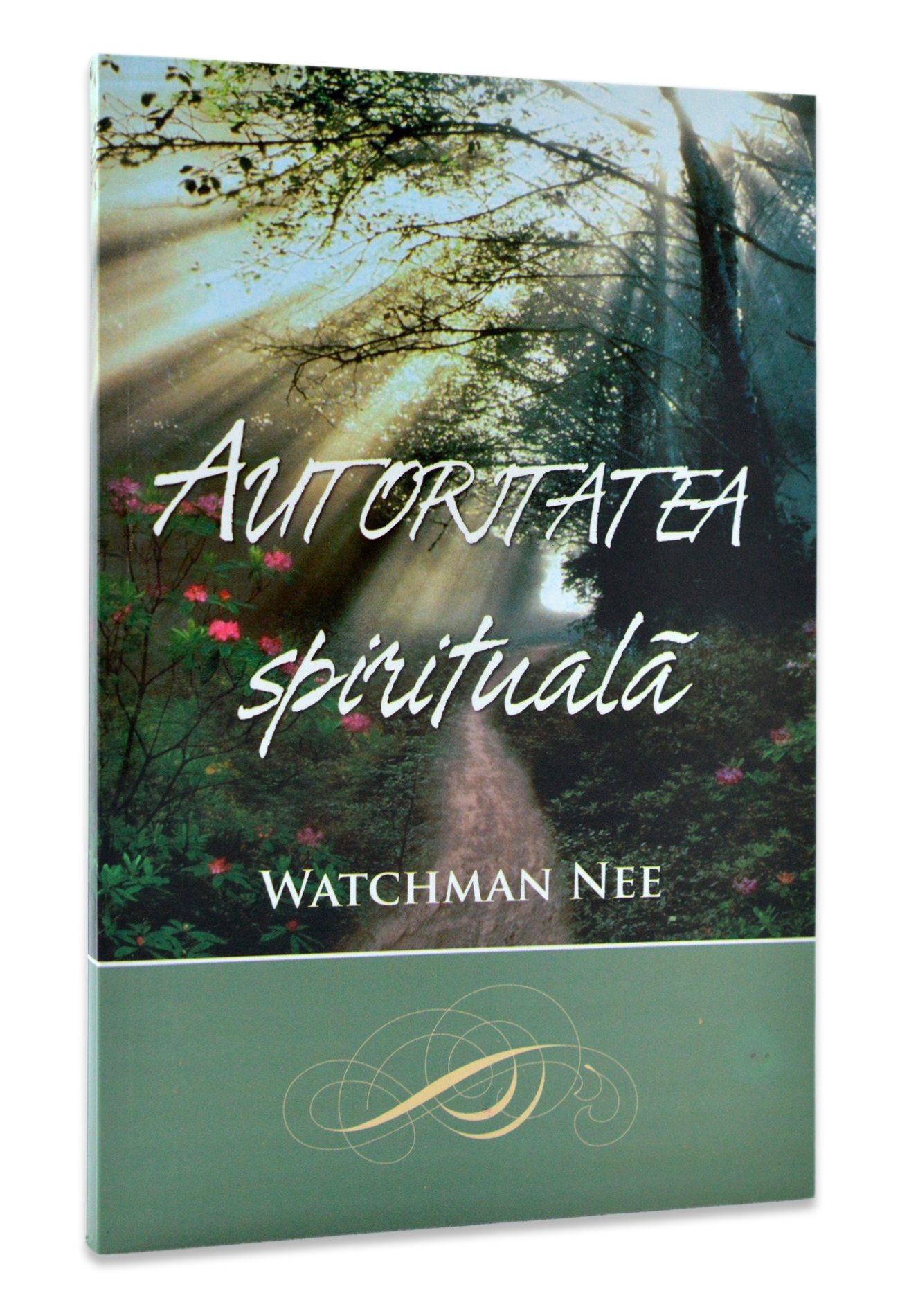 Autoritatea spirituală Autoritatea spirituală