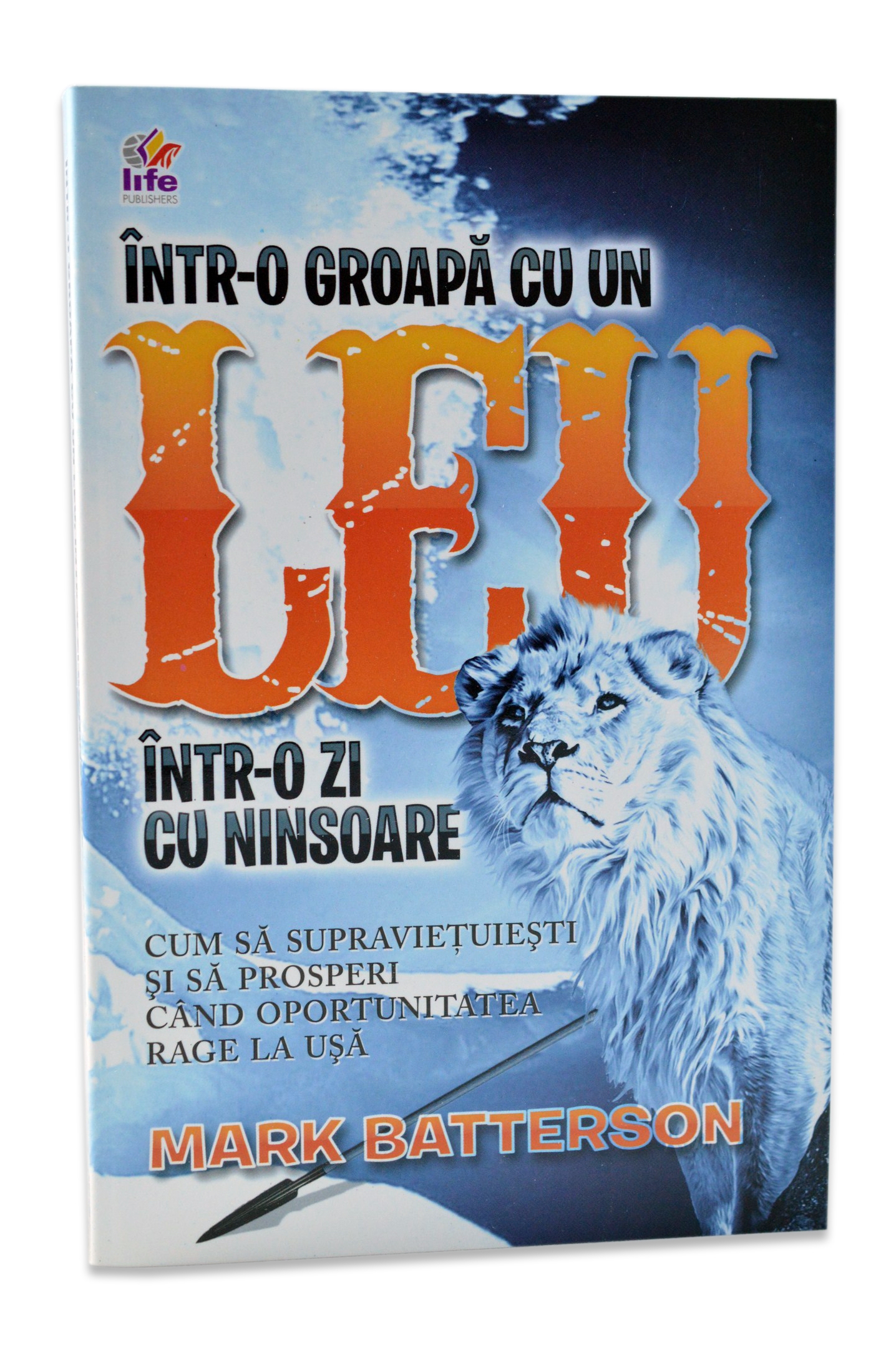 Intr-o groapa cu un leu, intr-o zi cu ninsoare Intr-o groapa cu un leu, intr-o zi cu ninsoare