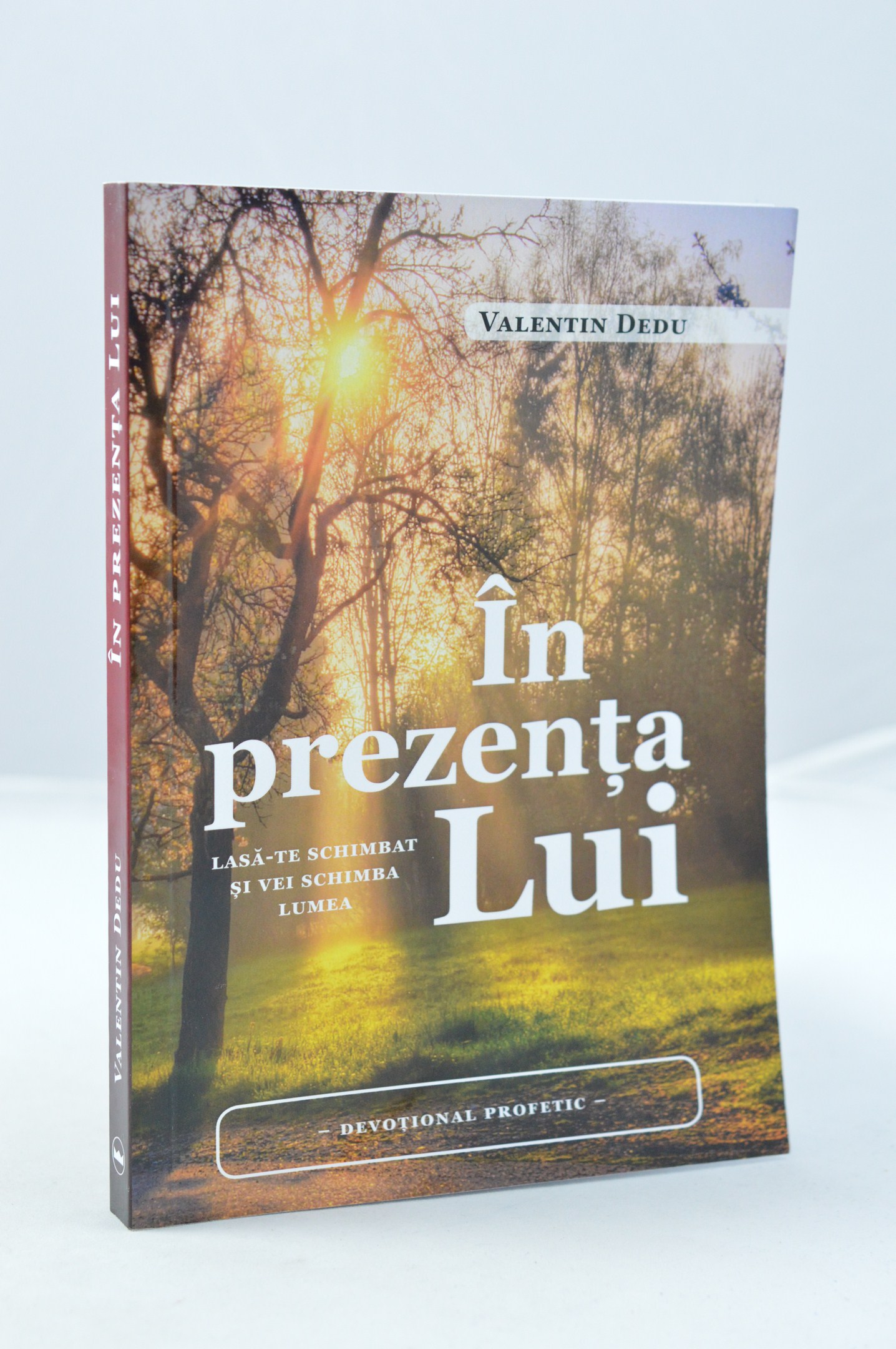 În prezența Lui În prezența Lui