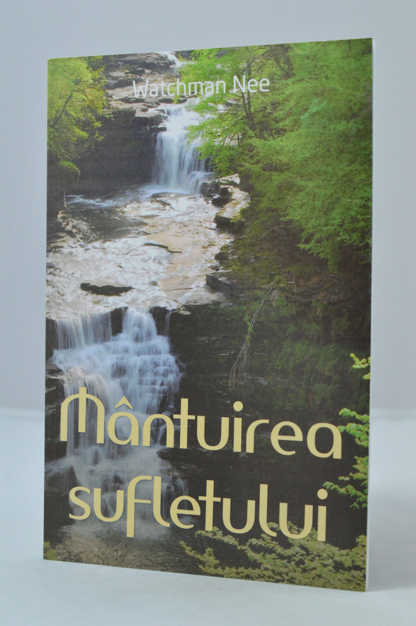 Mântuirea sufletului Mântuirea sufletului