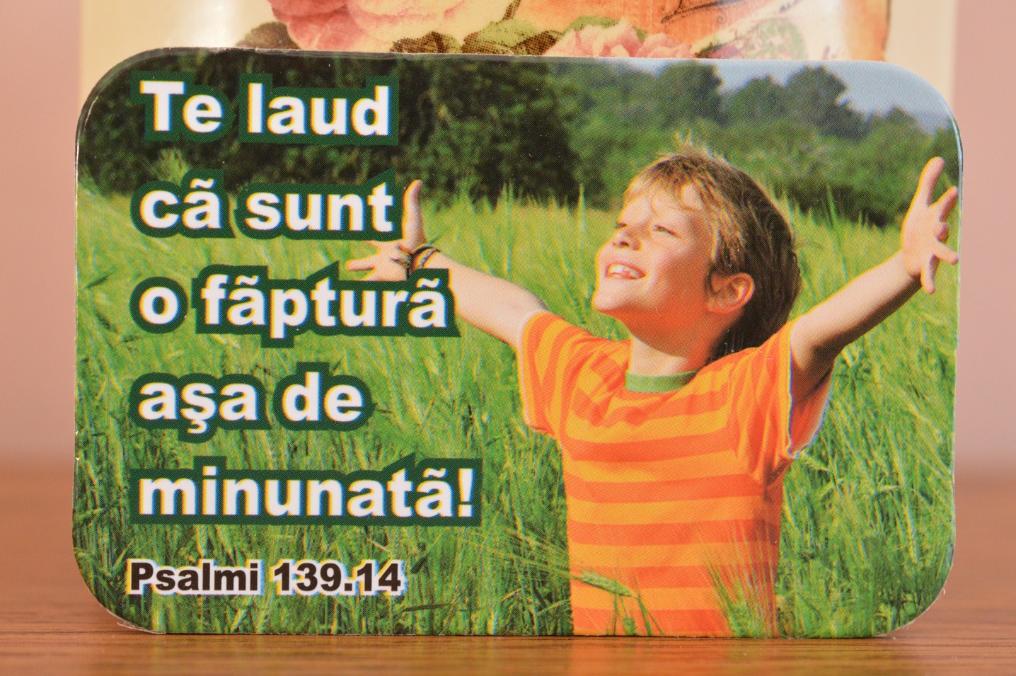 Magnet, Te laud ca sunt o faptura asa de minunata! Magnet, Te laud ca sunt o faptura asa de minunata!