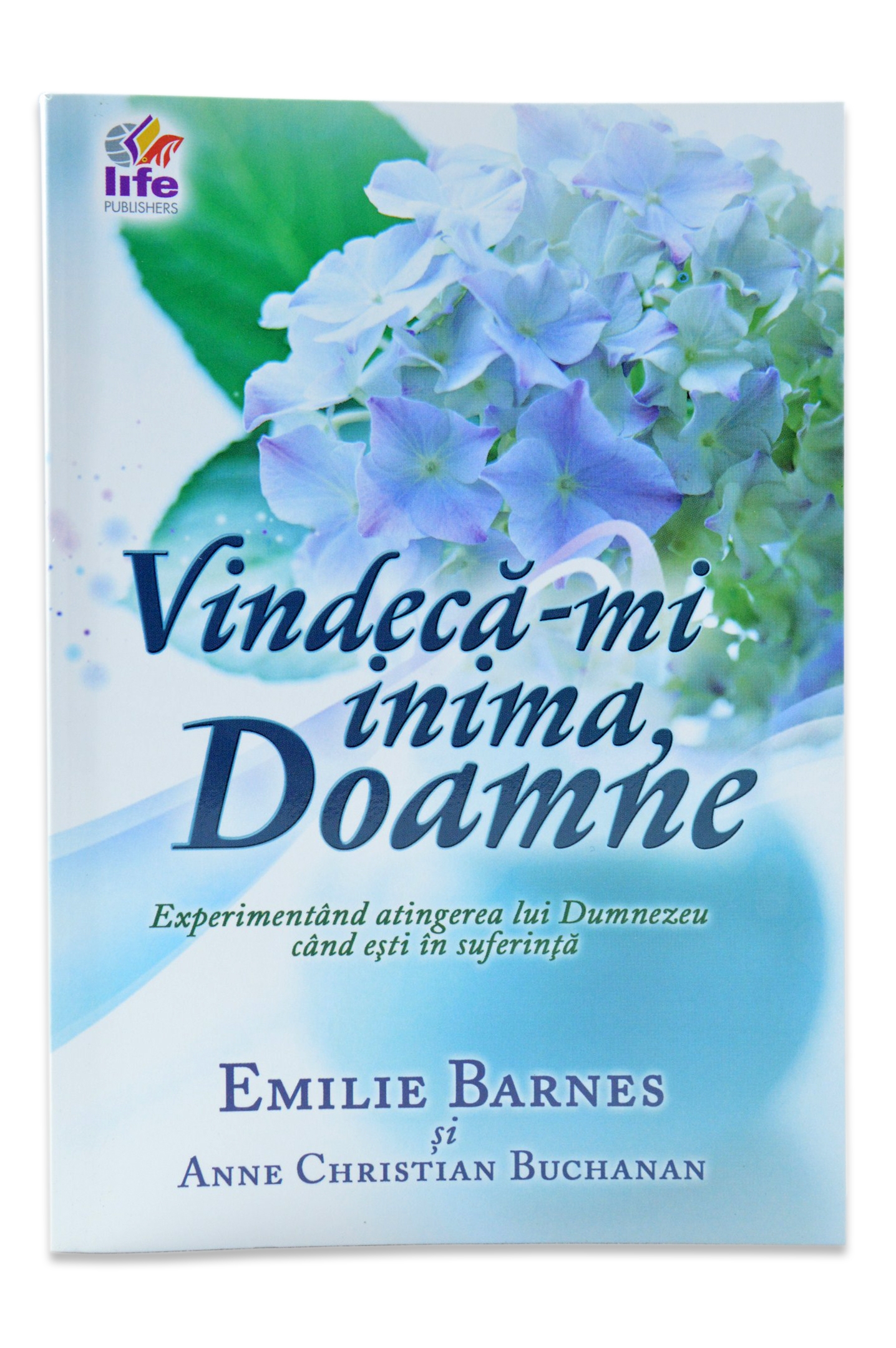 Vindeca-mi inima Doamne: Experimentand atingerea lui Dumnezeu cand esti in suferinta
