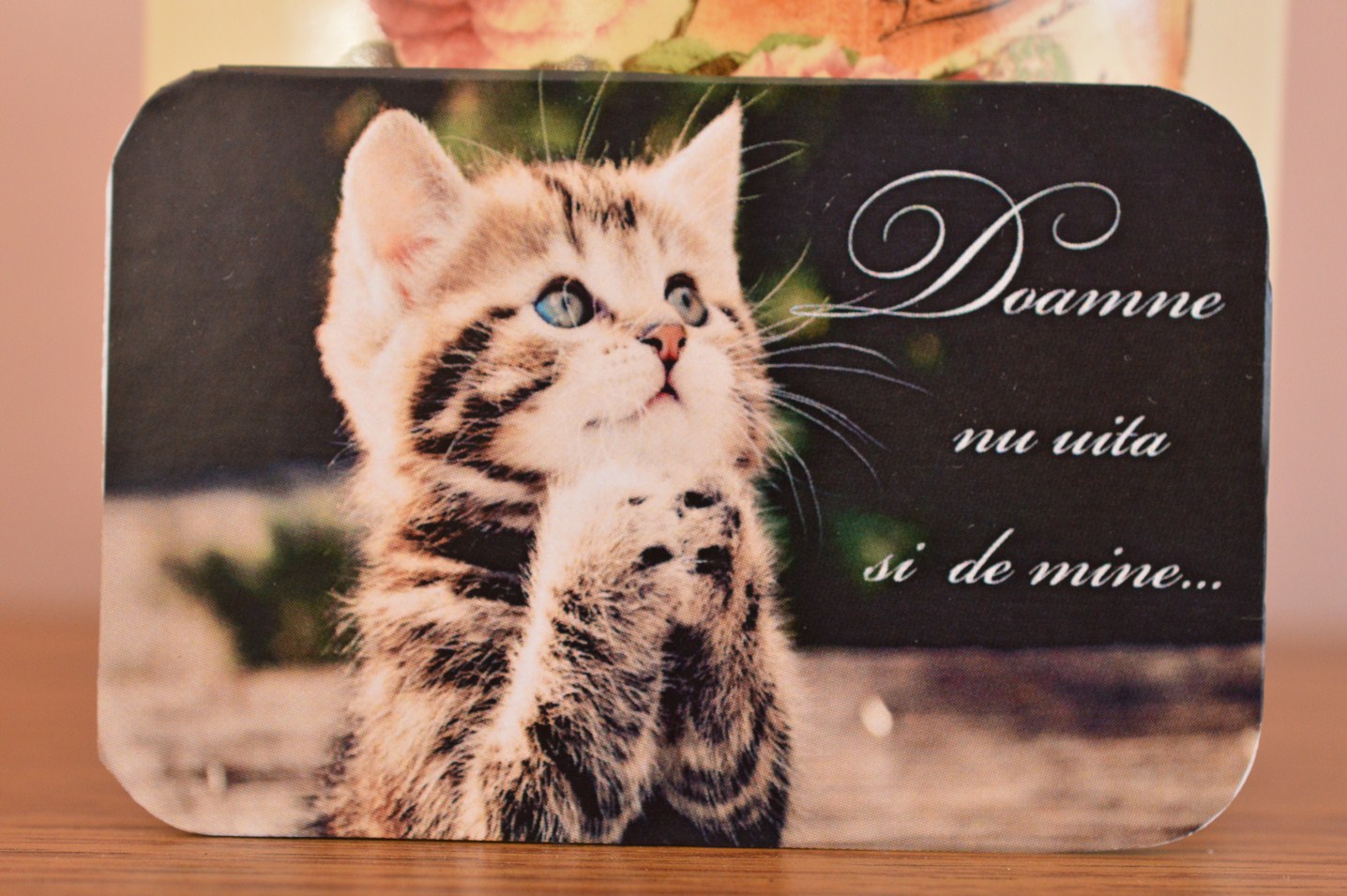 Magnet de frigider - Doamne, nu uita si de mine... Magnet de frigider - Doamne, nu uita si de mine...