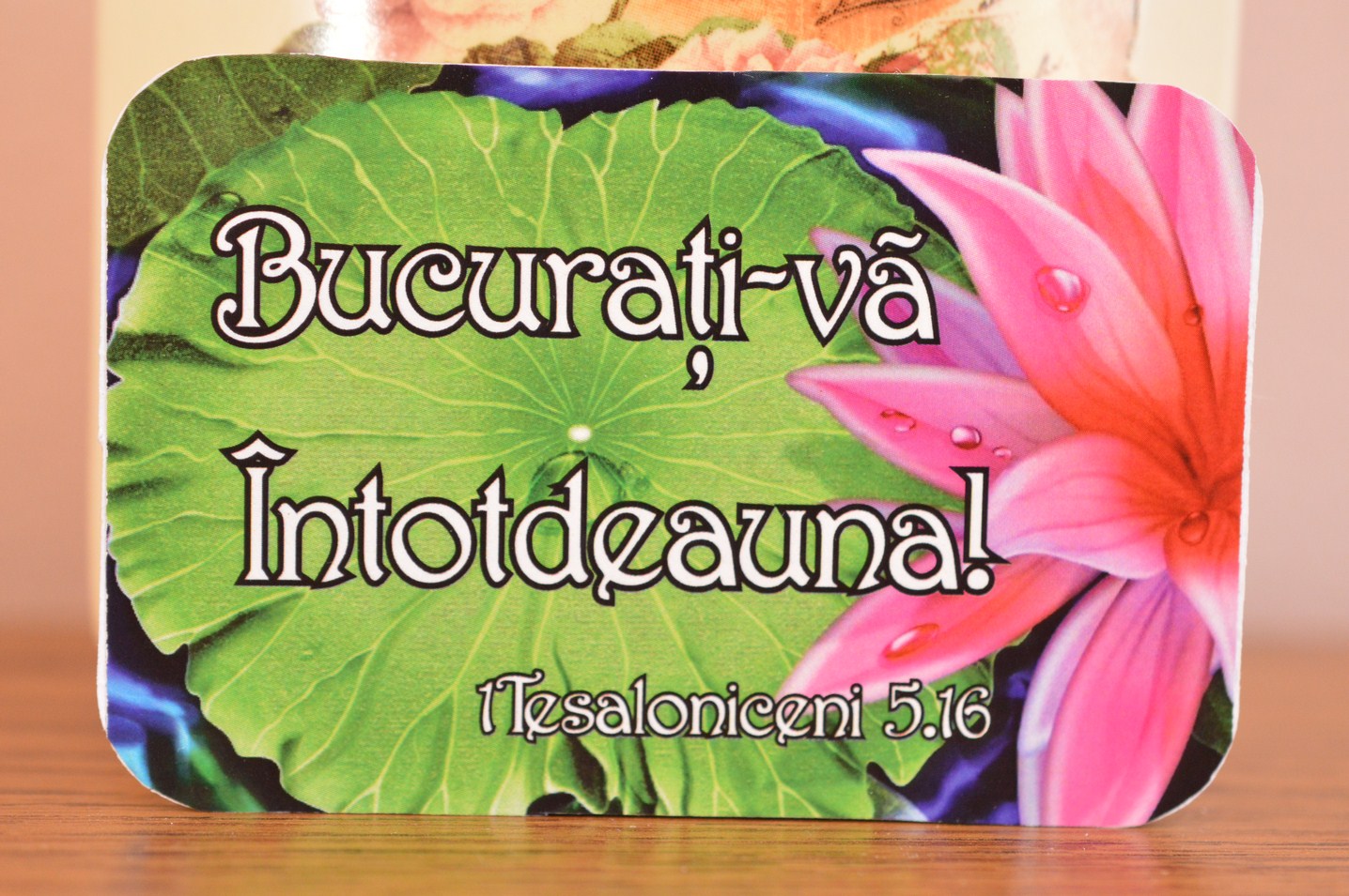 Magnet de frigider - Bucurati-va intotdeauna Magnet de frigider - Bucurati-va intotdeauna