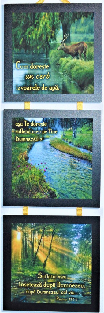 Set 3 mini tablouri - Cum doreste un cerb izvoarele de apa Set 3 mini tablouri - Cum doreste un cerb izvoarele de apa