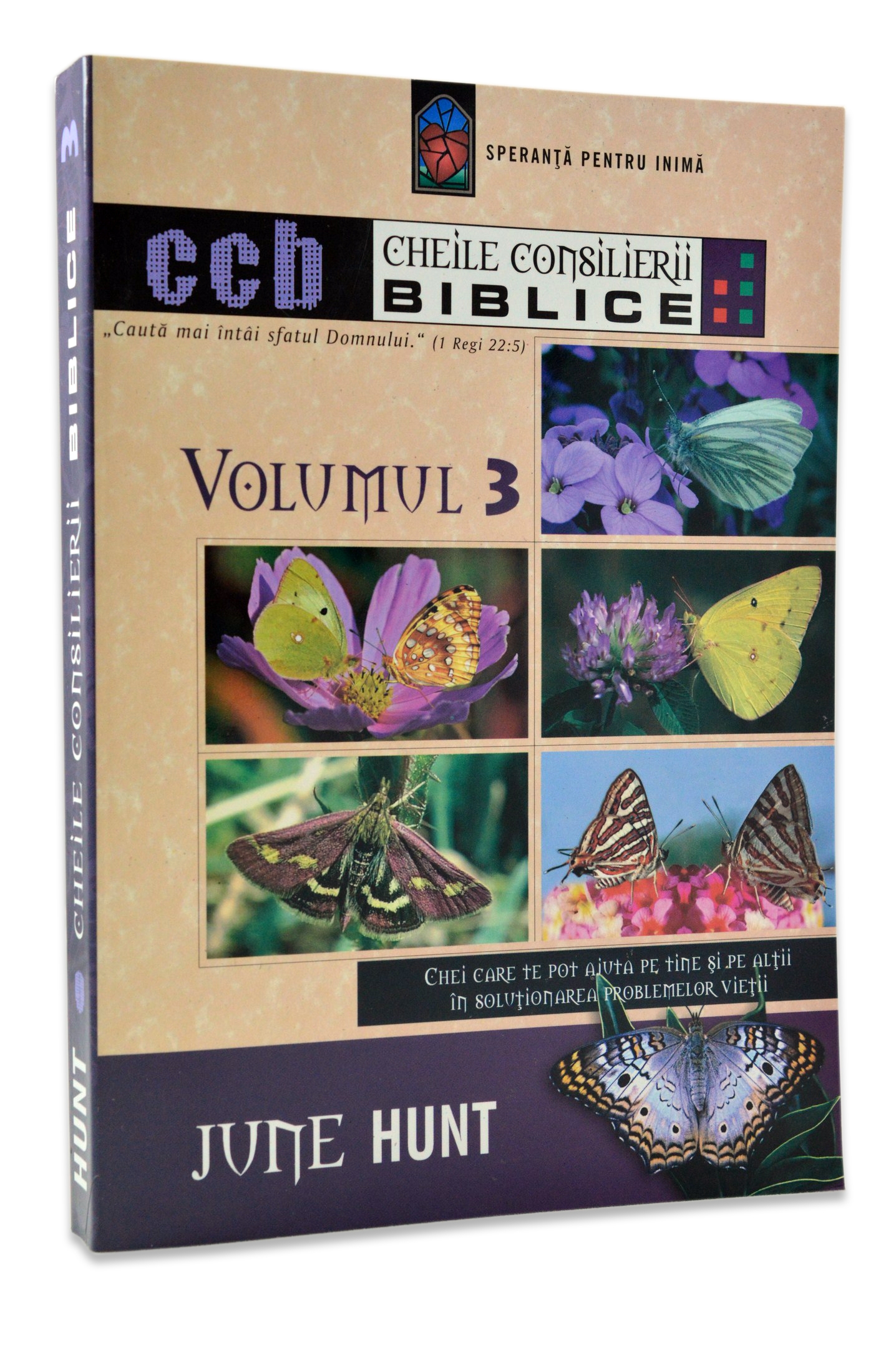 Cheile Consilierii Biblice, vol. 3 Cheile Consilierii Biblice, vol. 3