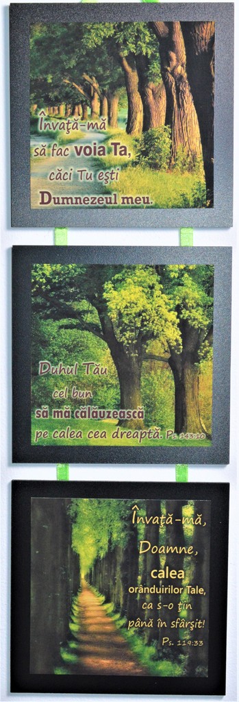 Set 3 mini tablouri - Invata - ma sa fac voia Ta Set 3 mini tablouri - Invata - ma sa fac voia Ta